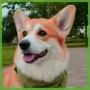 Profilbild von Jordan Ellis für Bewertungen zu unserem KI-Geldgenerator