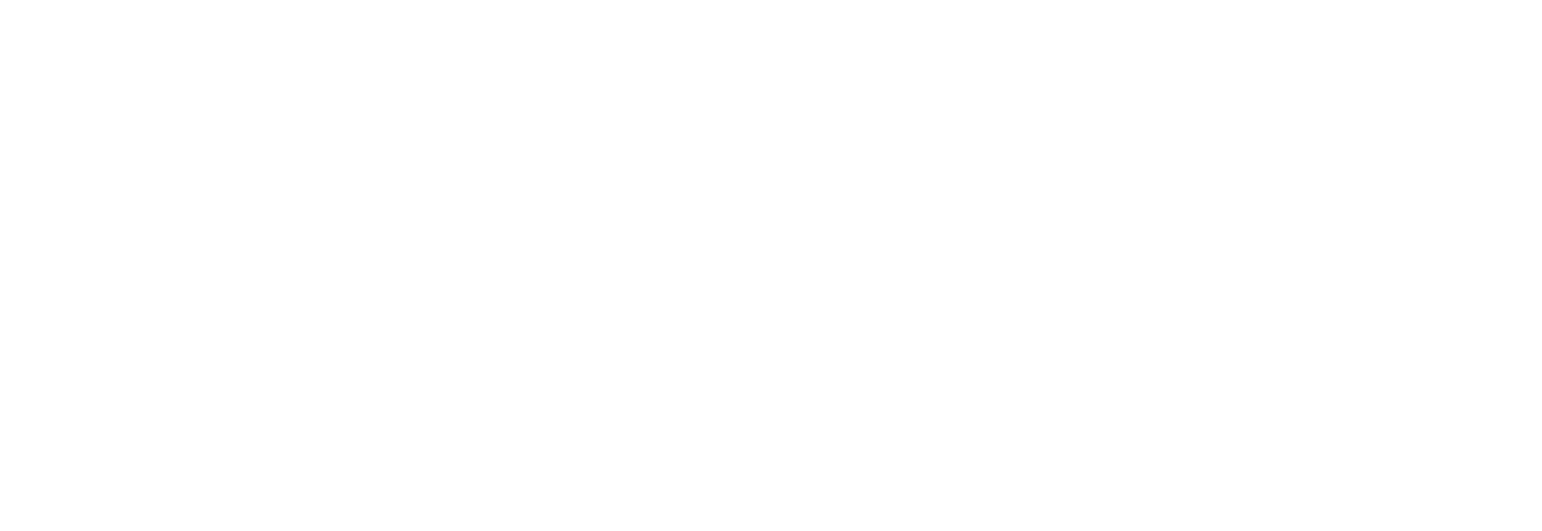 Logo of Springer Nature