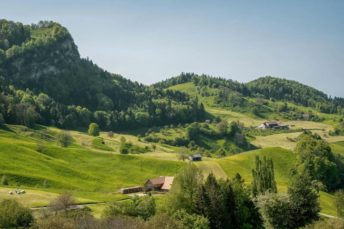 Sanfte grüne Hügel mit Holzscheunen und Bauernhäusern unter klarem Himmel.