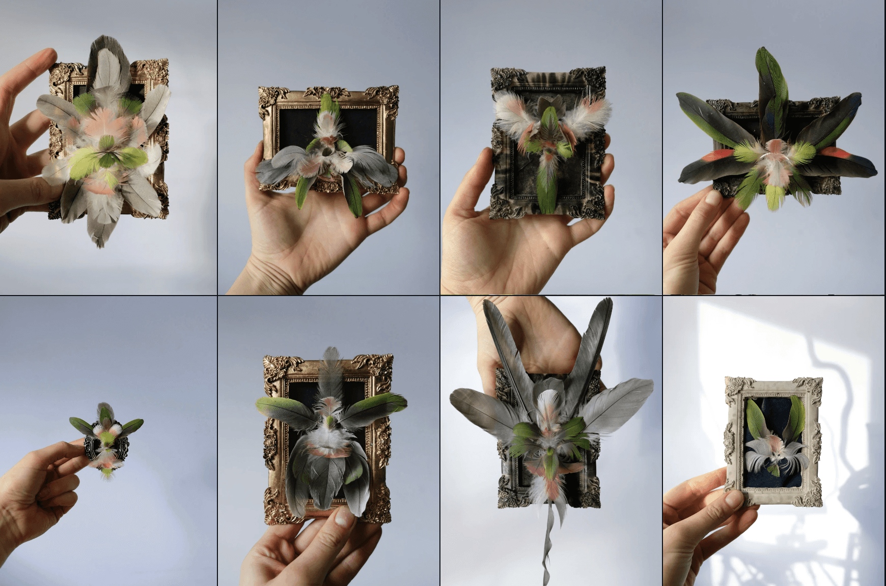 Papaver Rhoeas | potlood, kleurpodlood, waterverf en guache op papier | 30 x 21 cm