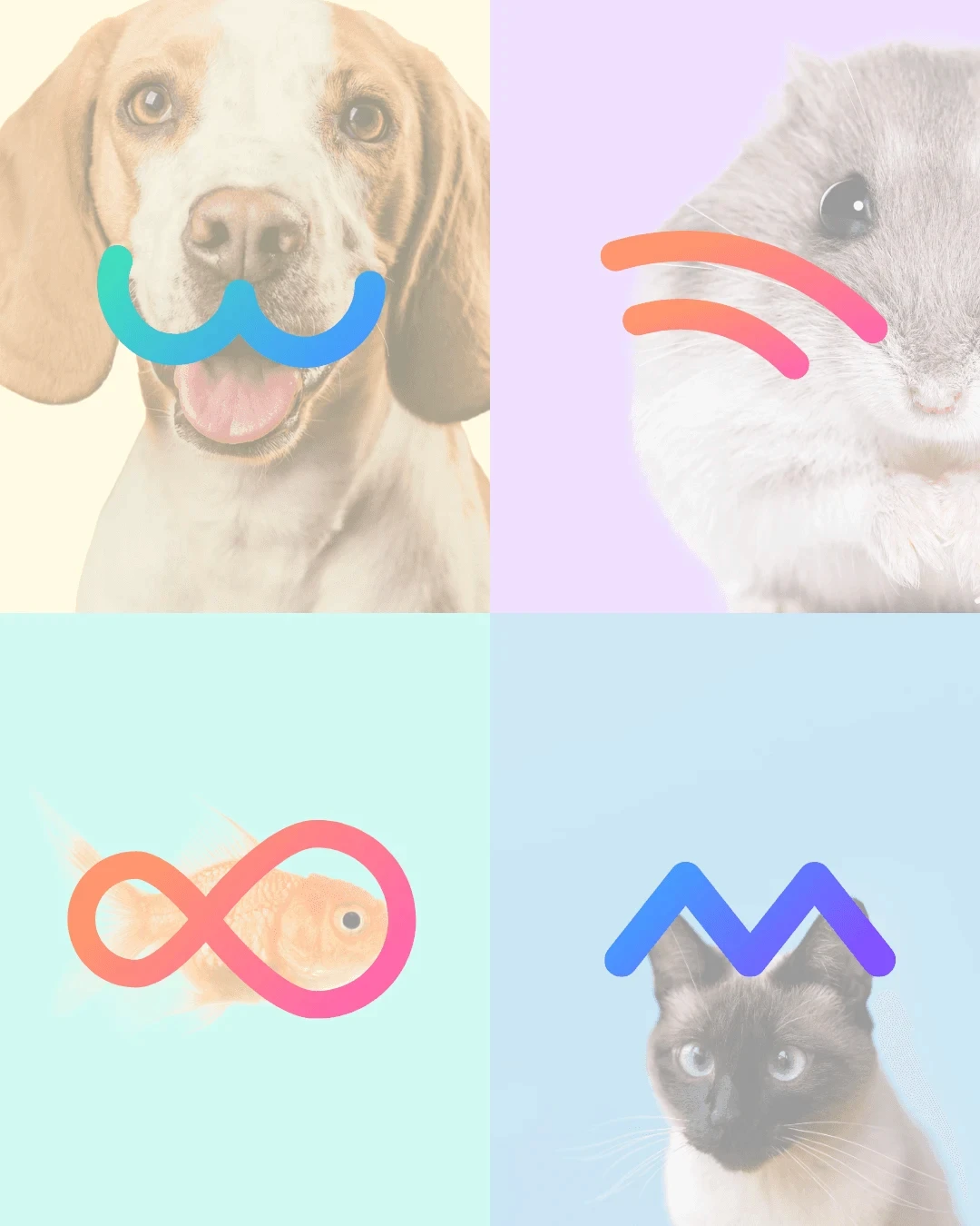 Illustrations de chien, chat, poisson et hamster pour Animalink, par Coralie De Almeida