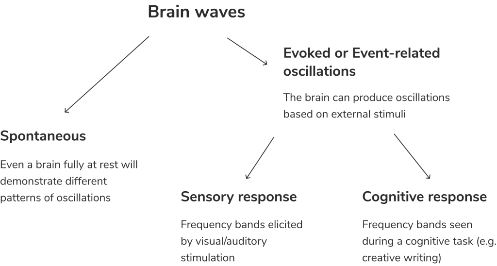 Brain waves