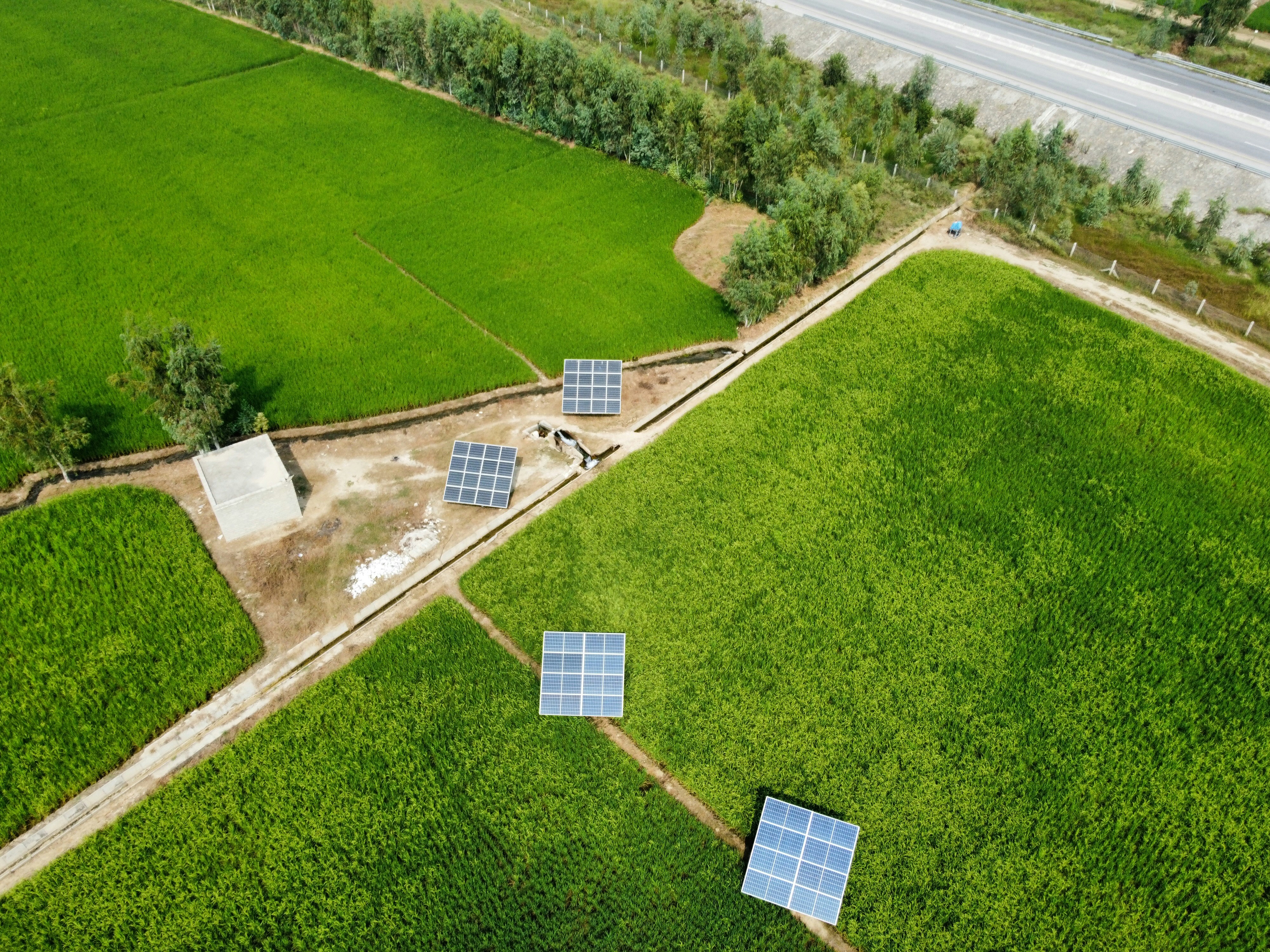 Solar panels in a lush green field