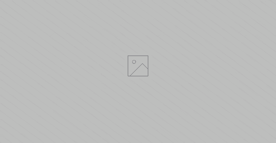 Dedicated volunteers making a lasting impact