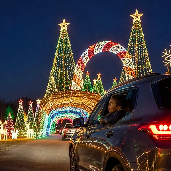 A young boy looks out of his family's car window at the Christmas lights they are about to drive through