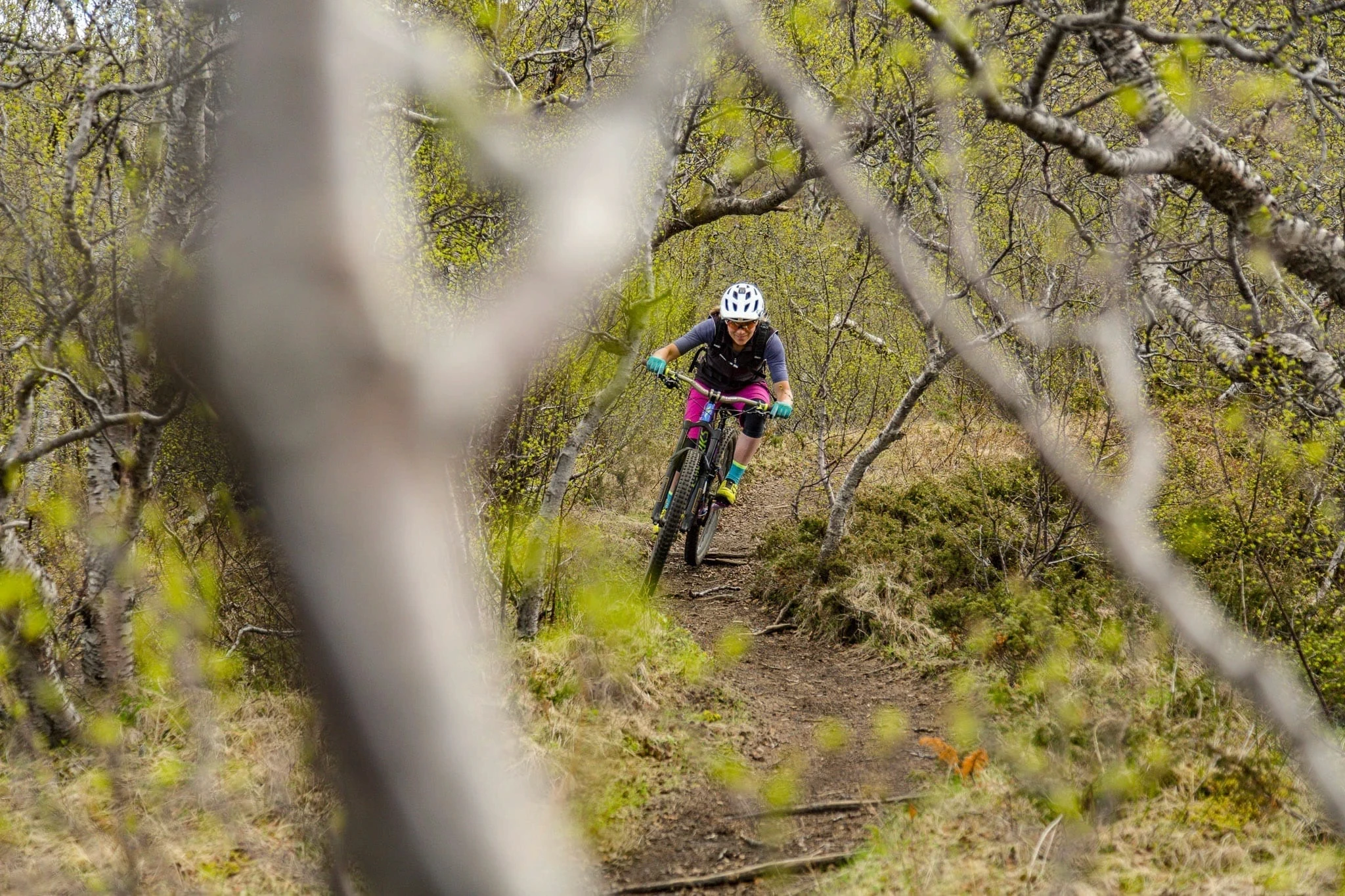 Mountain biker riding a narrow singletrack trail through a sparse forest.