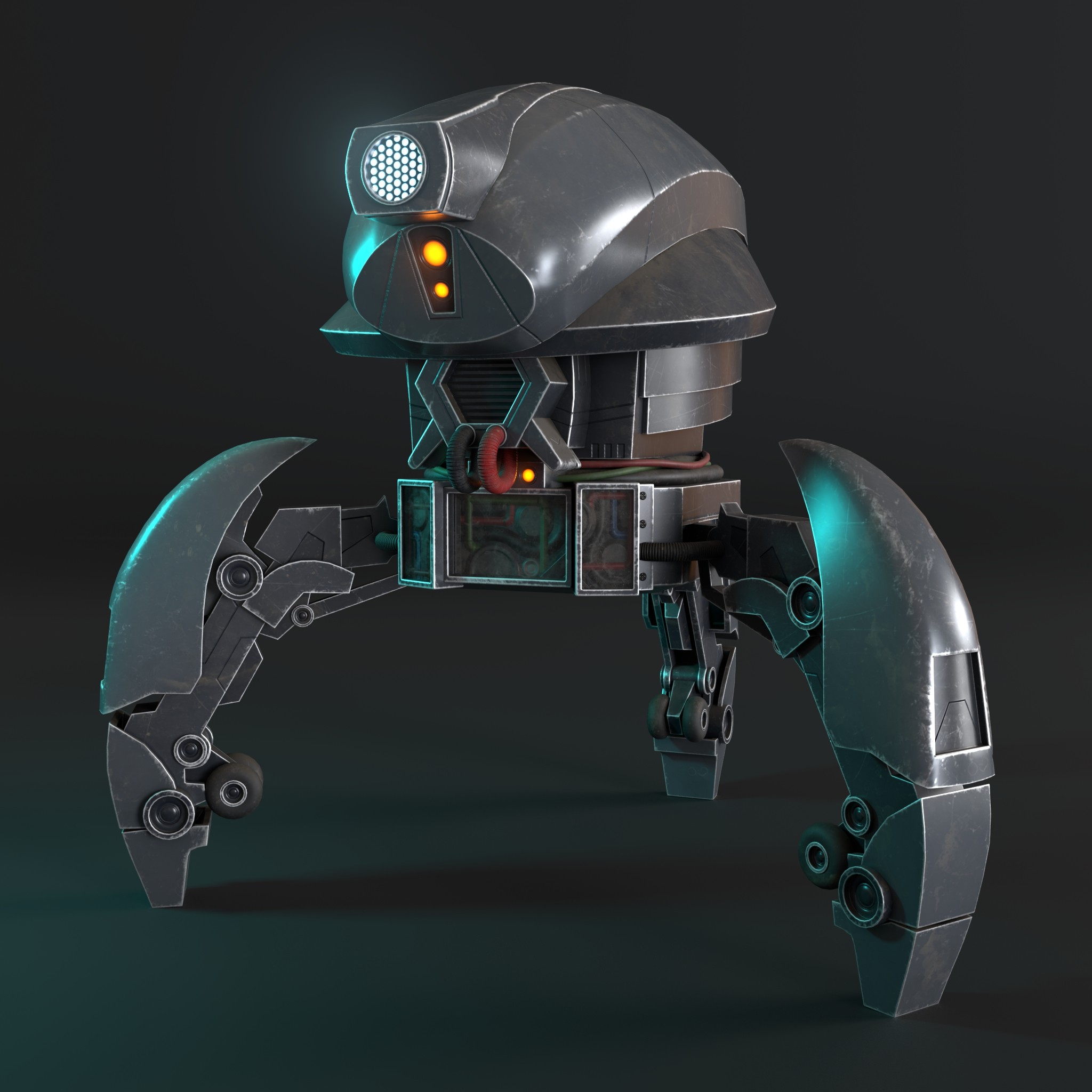 project img