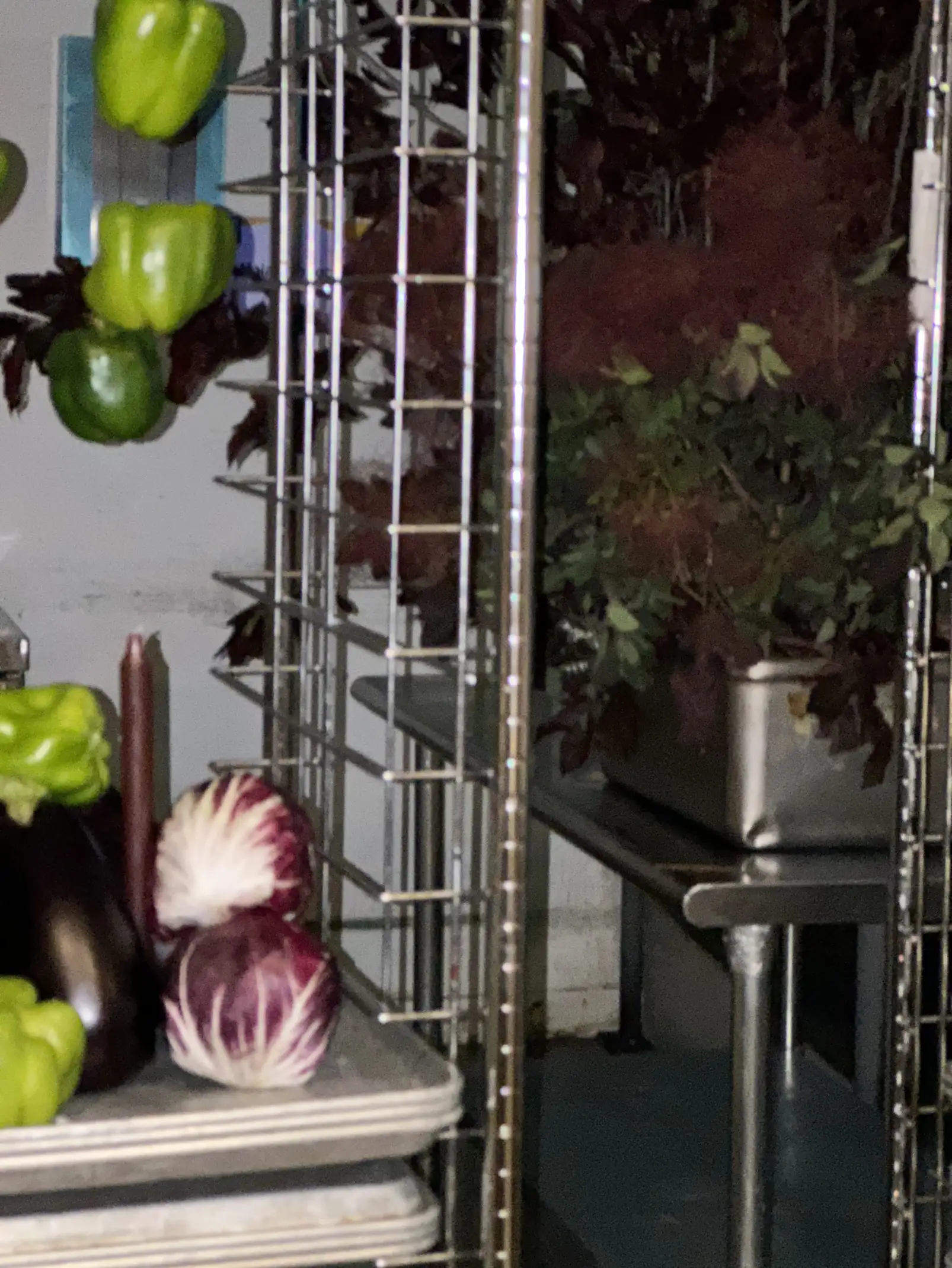 Detalle de cocina con vegetales frescos como pimientos verdes, berenjenas y radicchio colocados en estantes metálicos junto a recipientes con follaje oscuro.