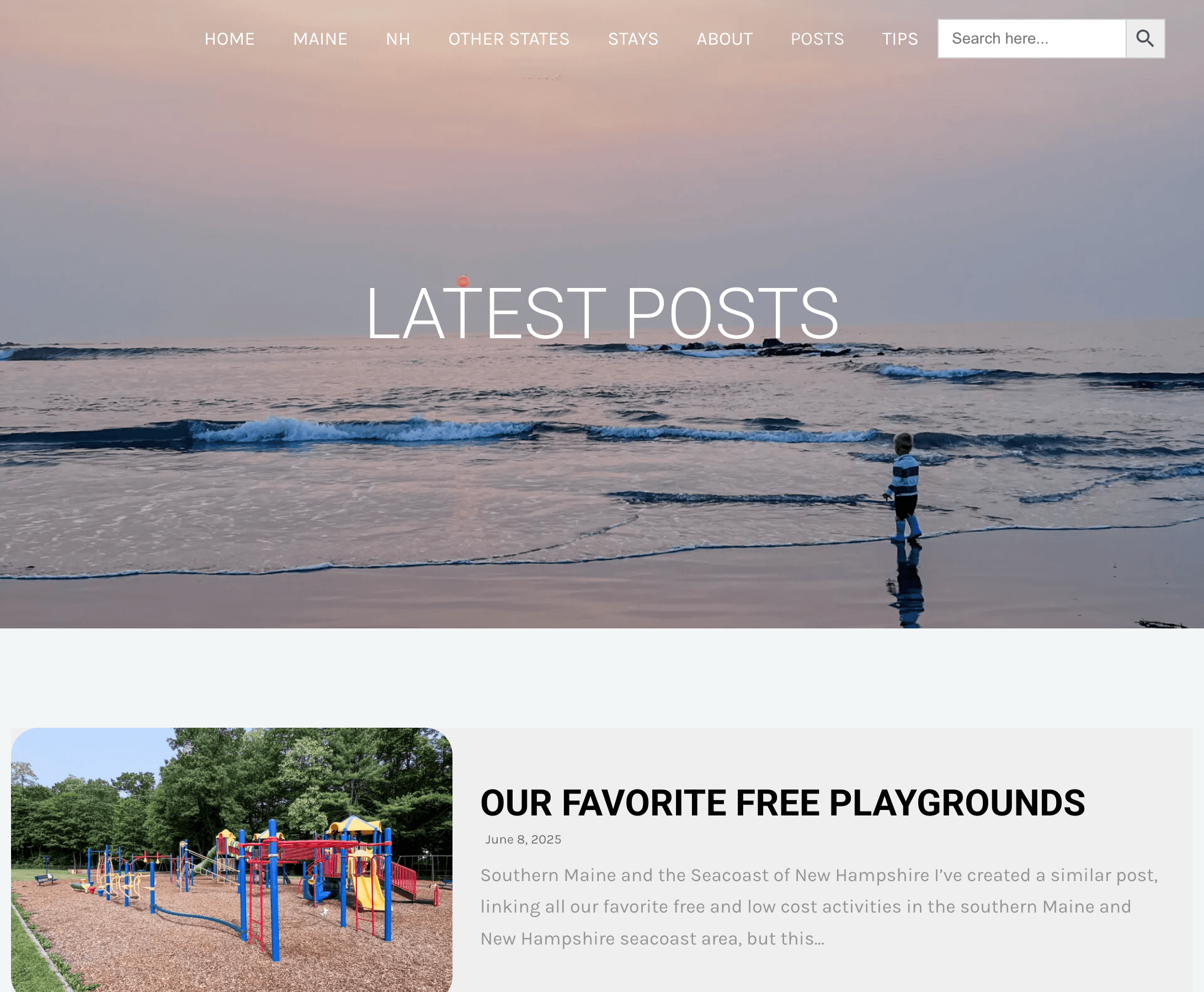 Deer crossing a road in a forest