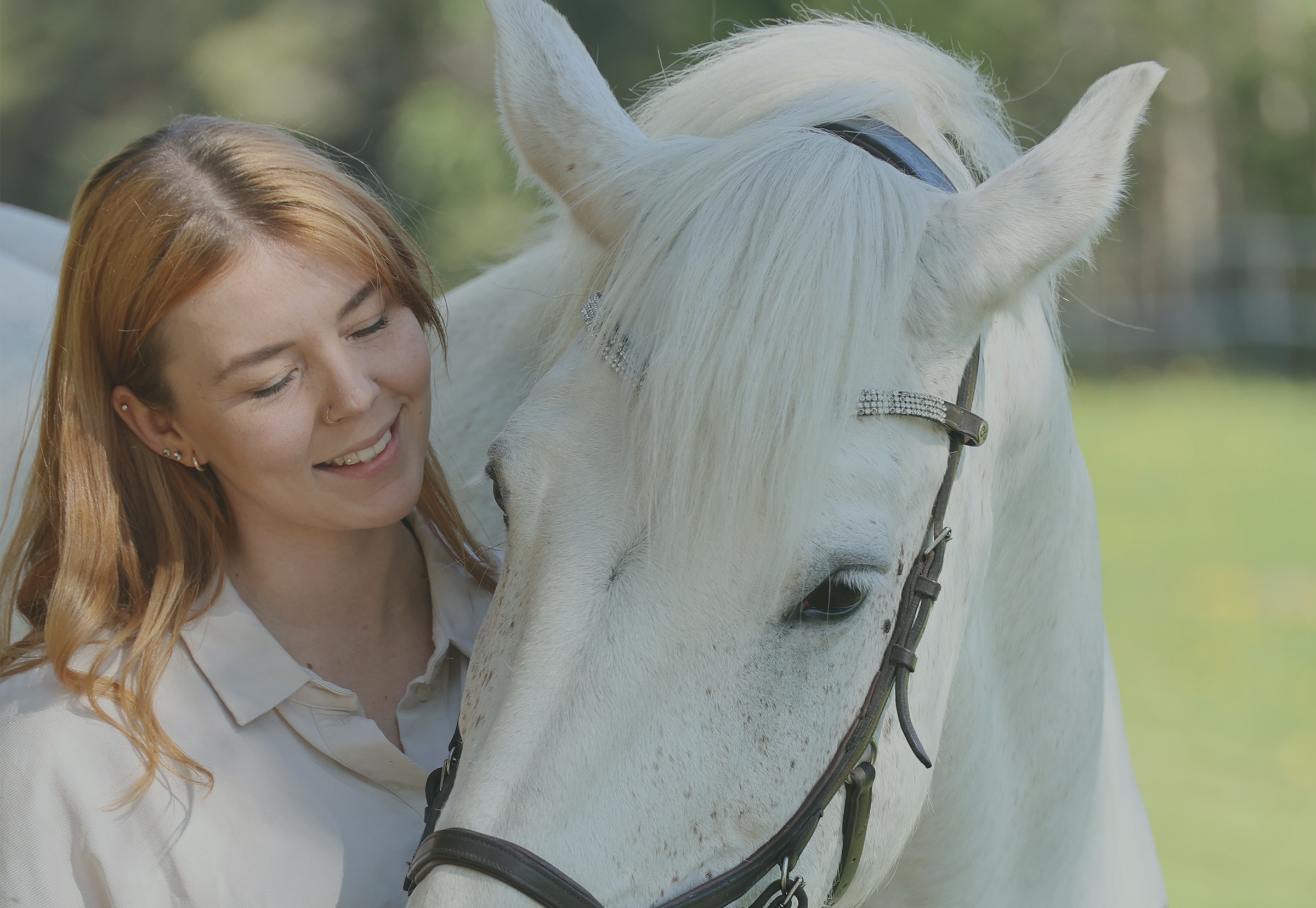 Become a new StableFriend download the app