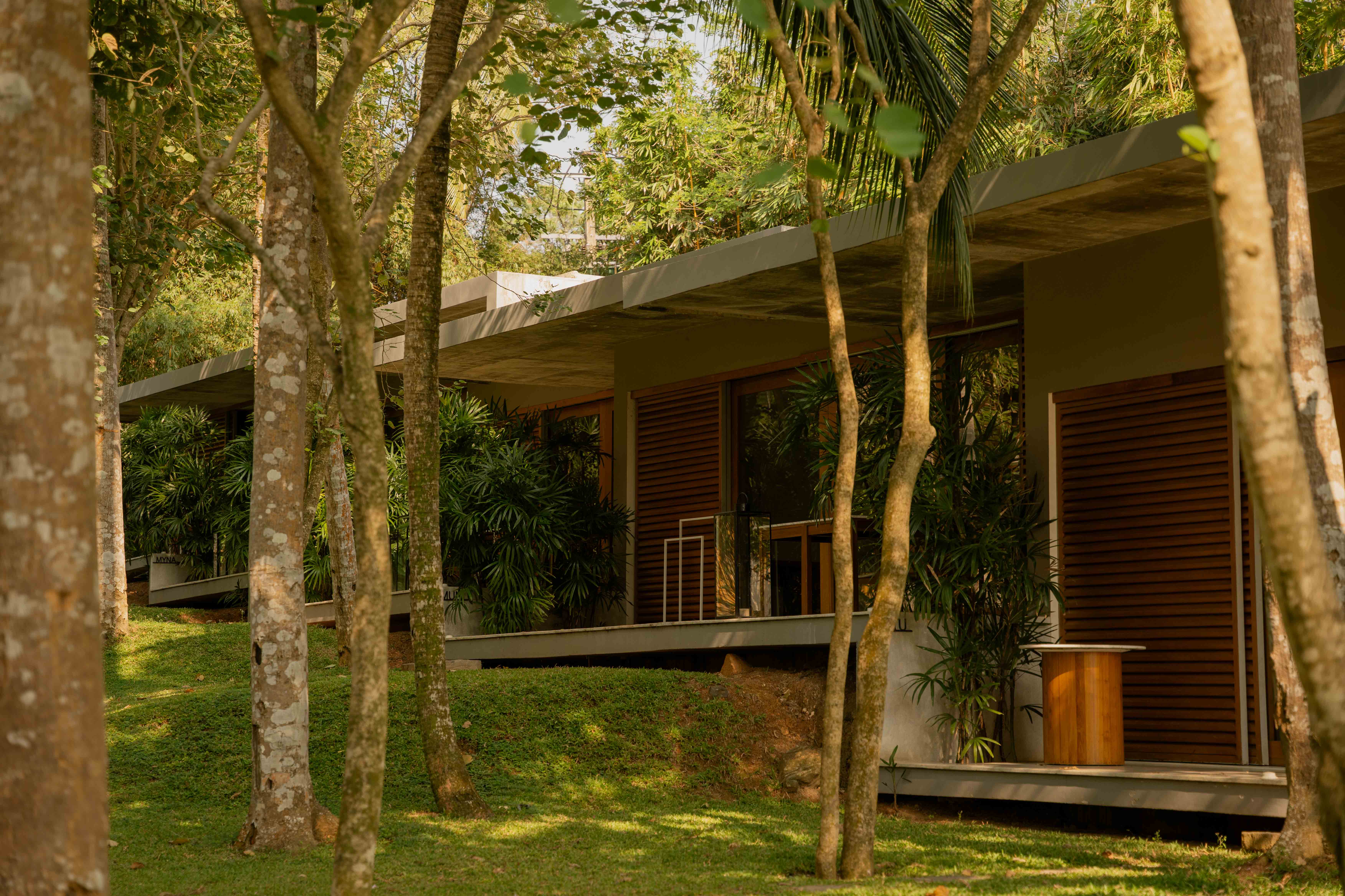 Hotel rooms nestled into the jungle 