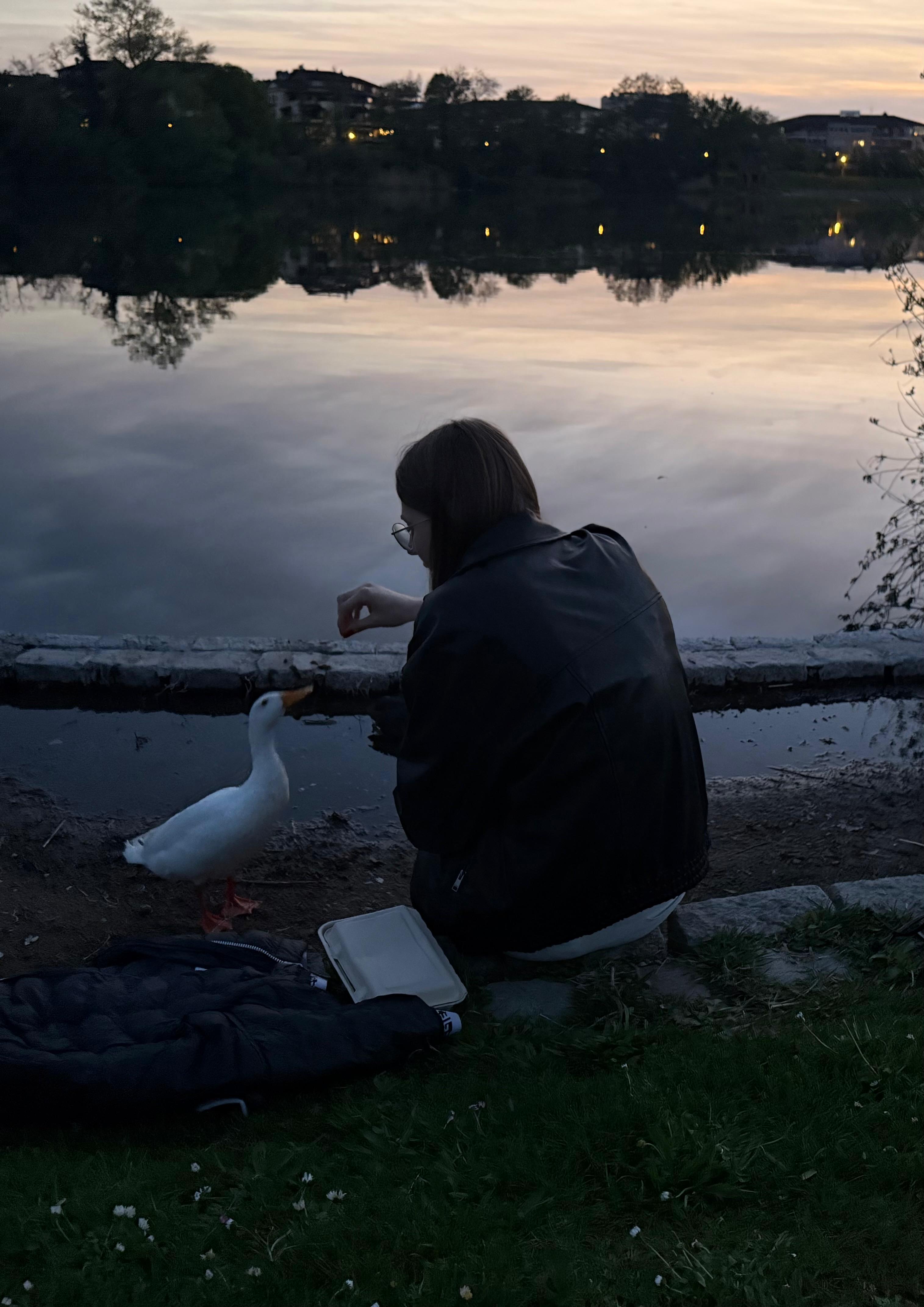 Woman giving food to a Duck