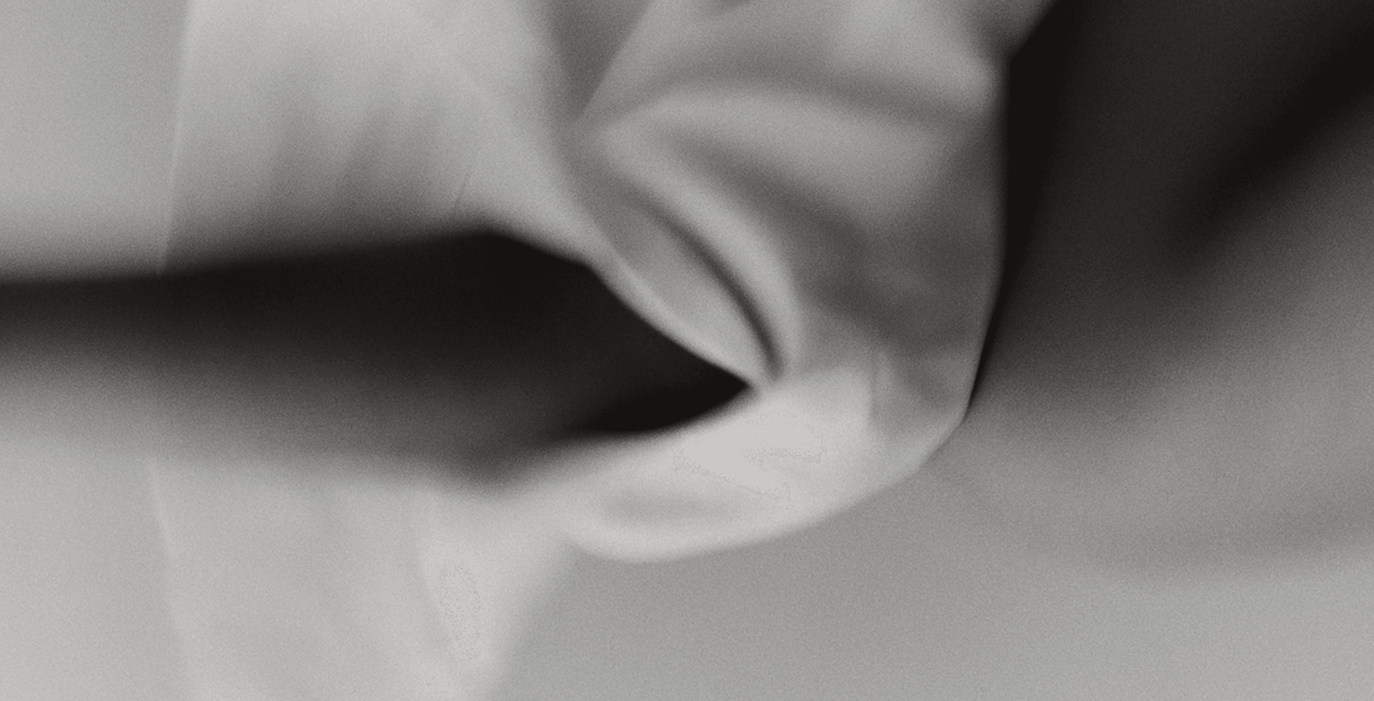 Lush garden with blooming hydrangeas and a house