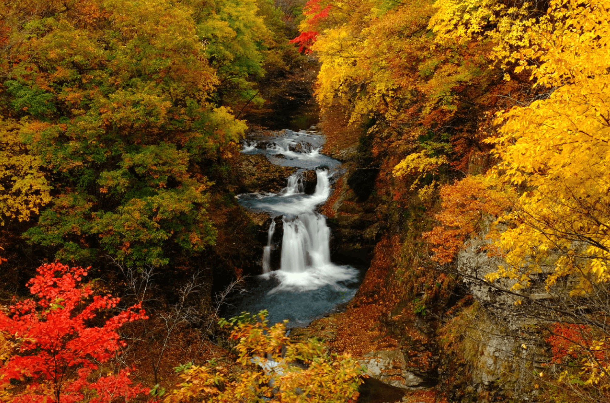 A waterfall surrounded by colorful trees in autumn