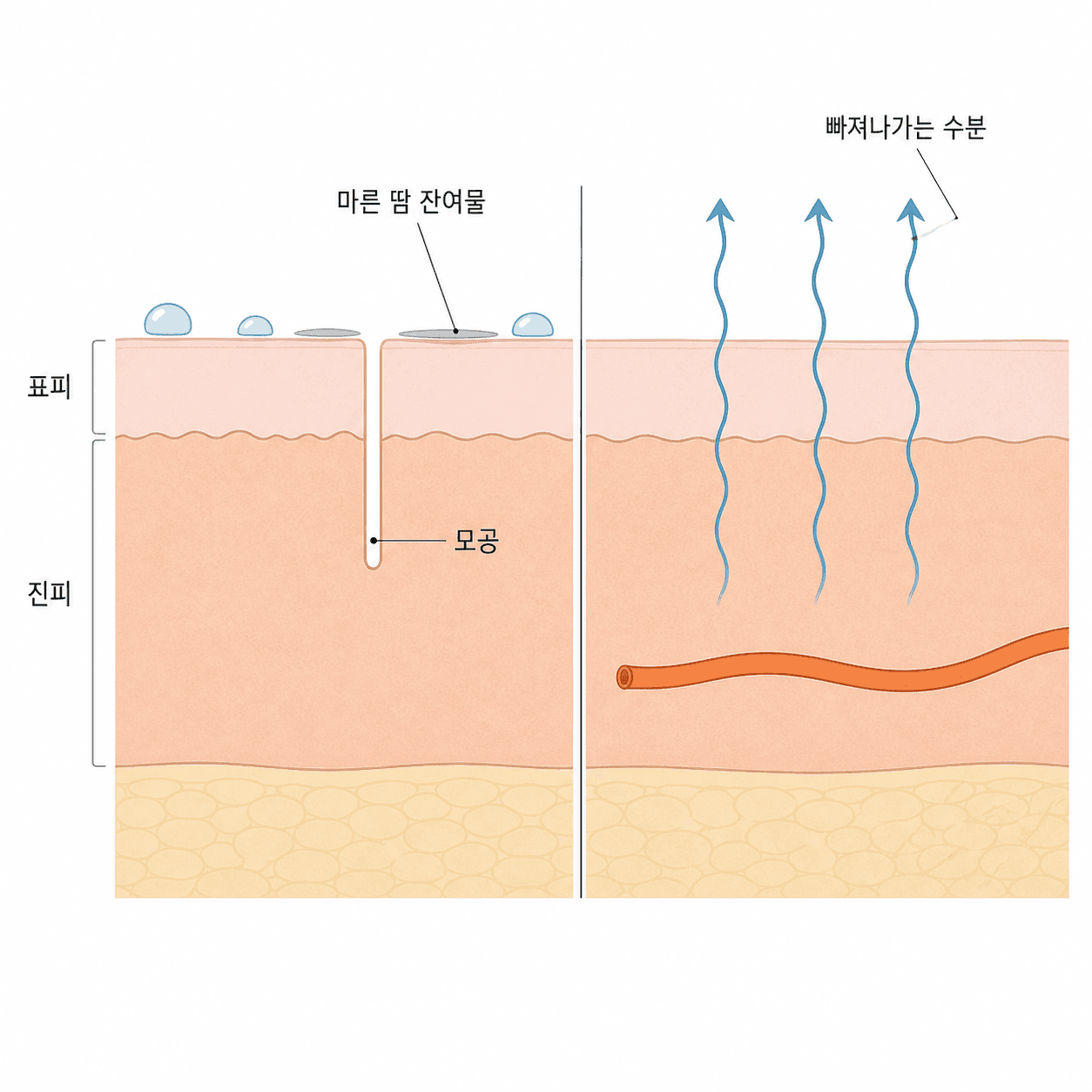 땀이 마르는 자리와 수분이 빠져나가는 자리가 따로 움직여요.
