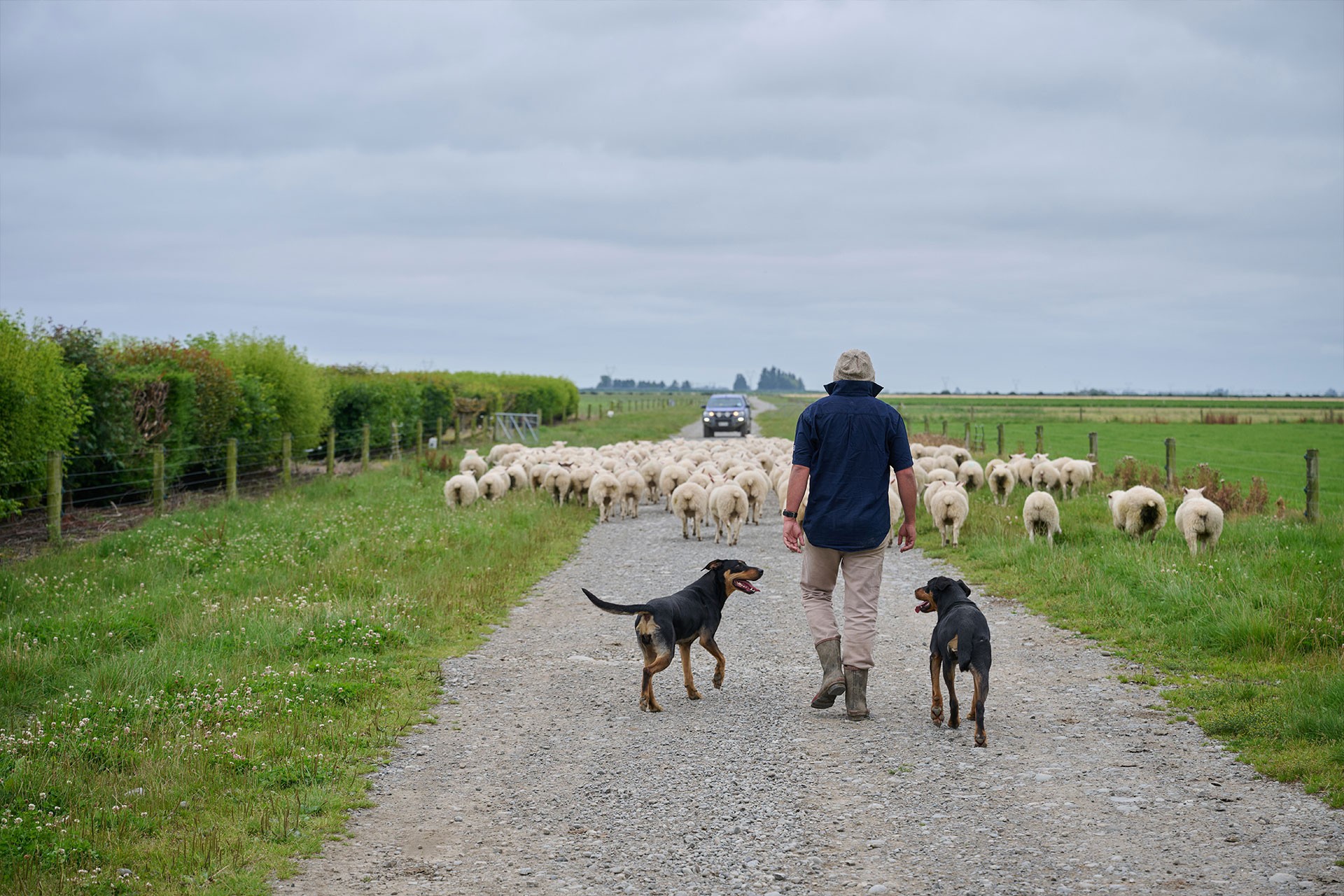 Alpine Pastures Group