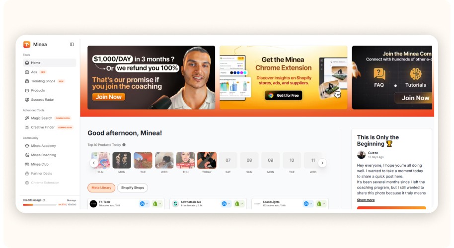 interface de Minea