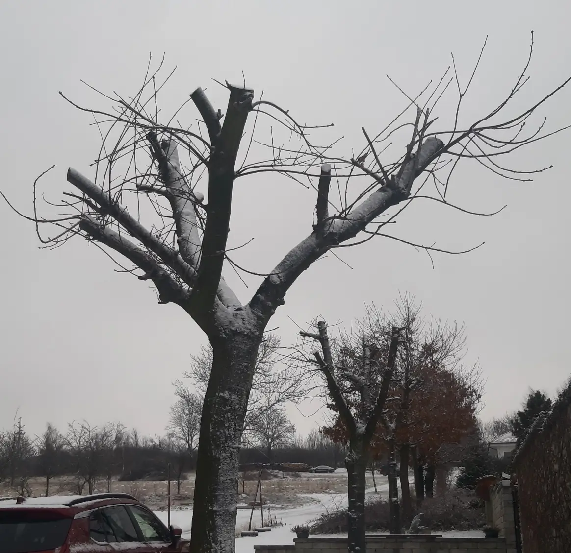 Nesprávně provedený řez