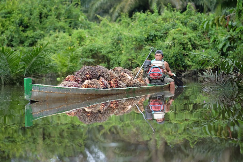 Indonesia just put its coal and palm oil under state control