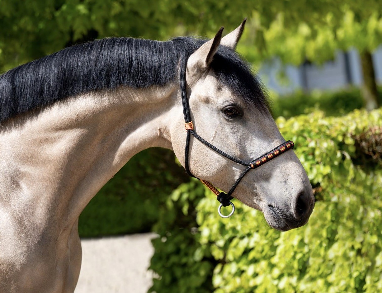 Crossbred by Secret