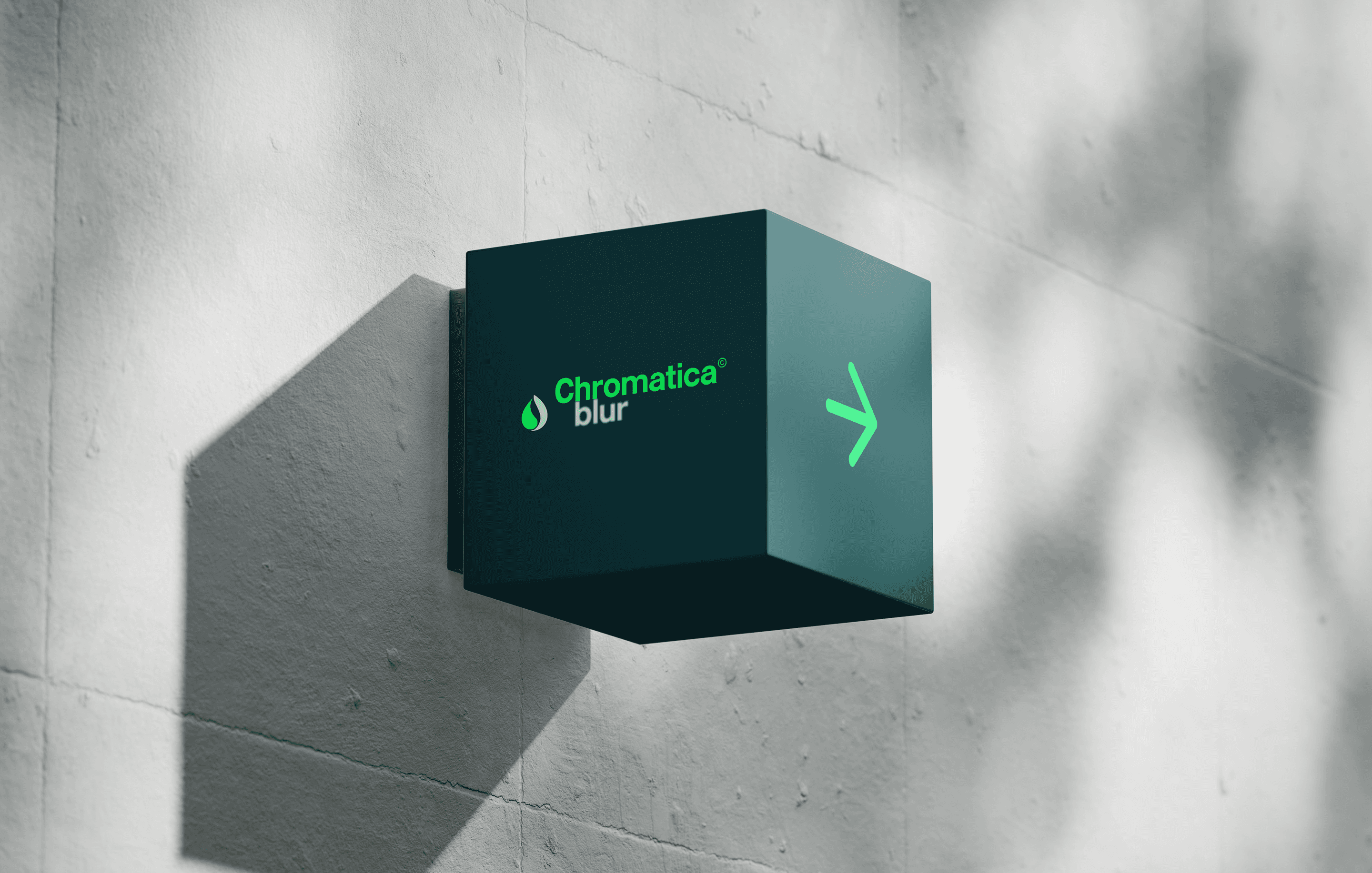 braided woman taking photo beside yellow painted wall