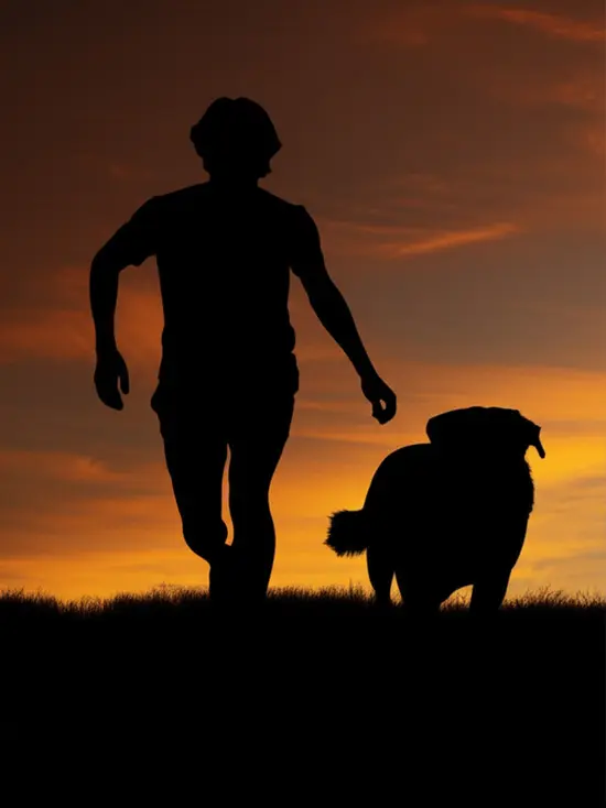 Dog and boy running silhouette using silhouette maker.