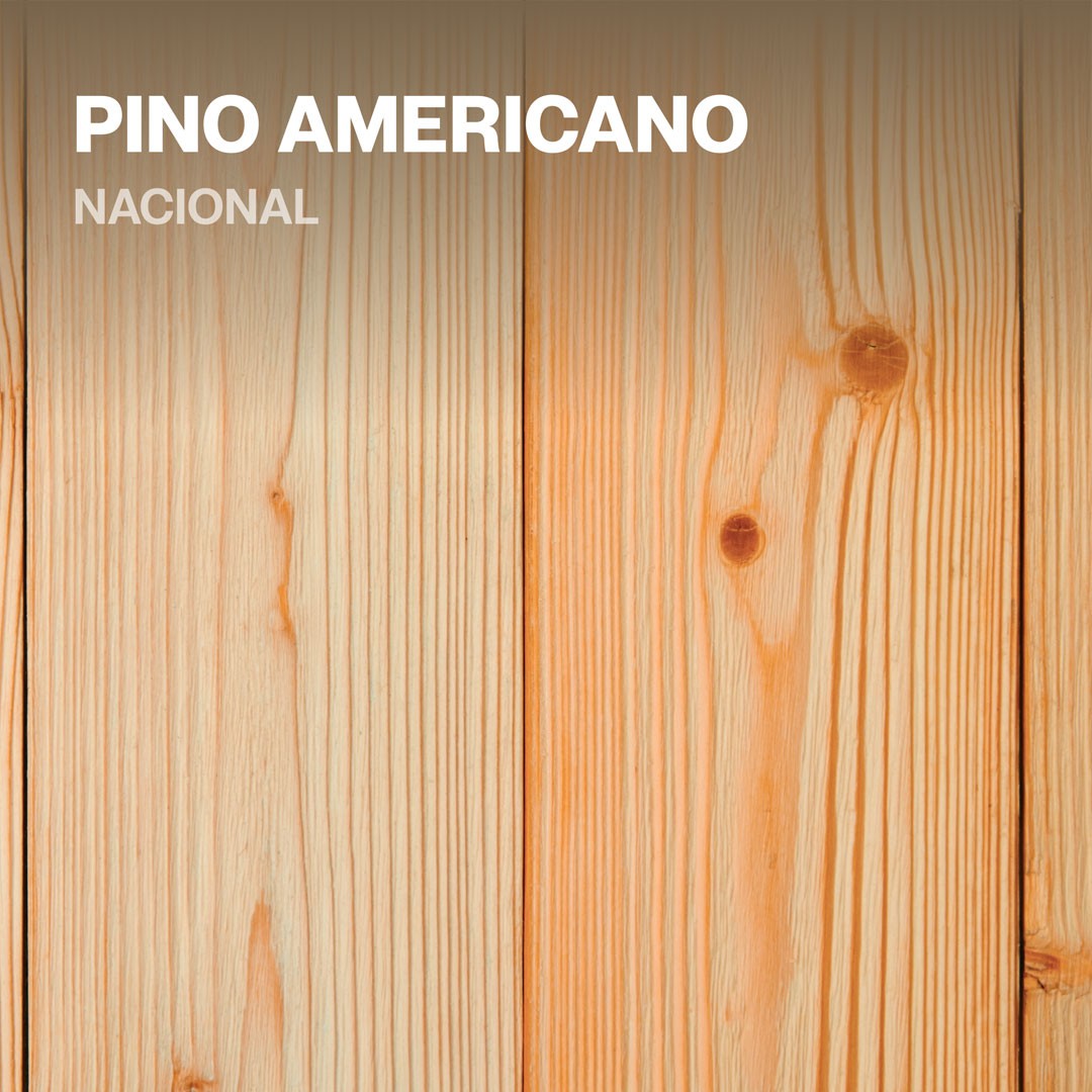 La madera de pino americano se destaca por ser ligera, suave y fácil de trabajar. Cada especie tiene sus propias características y usos en la industria maderera. Ofrecemos una variedad de medidas.