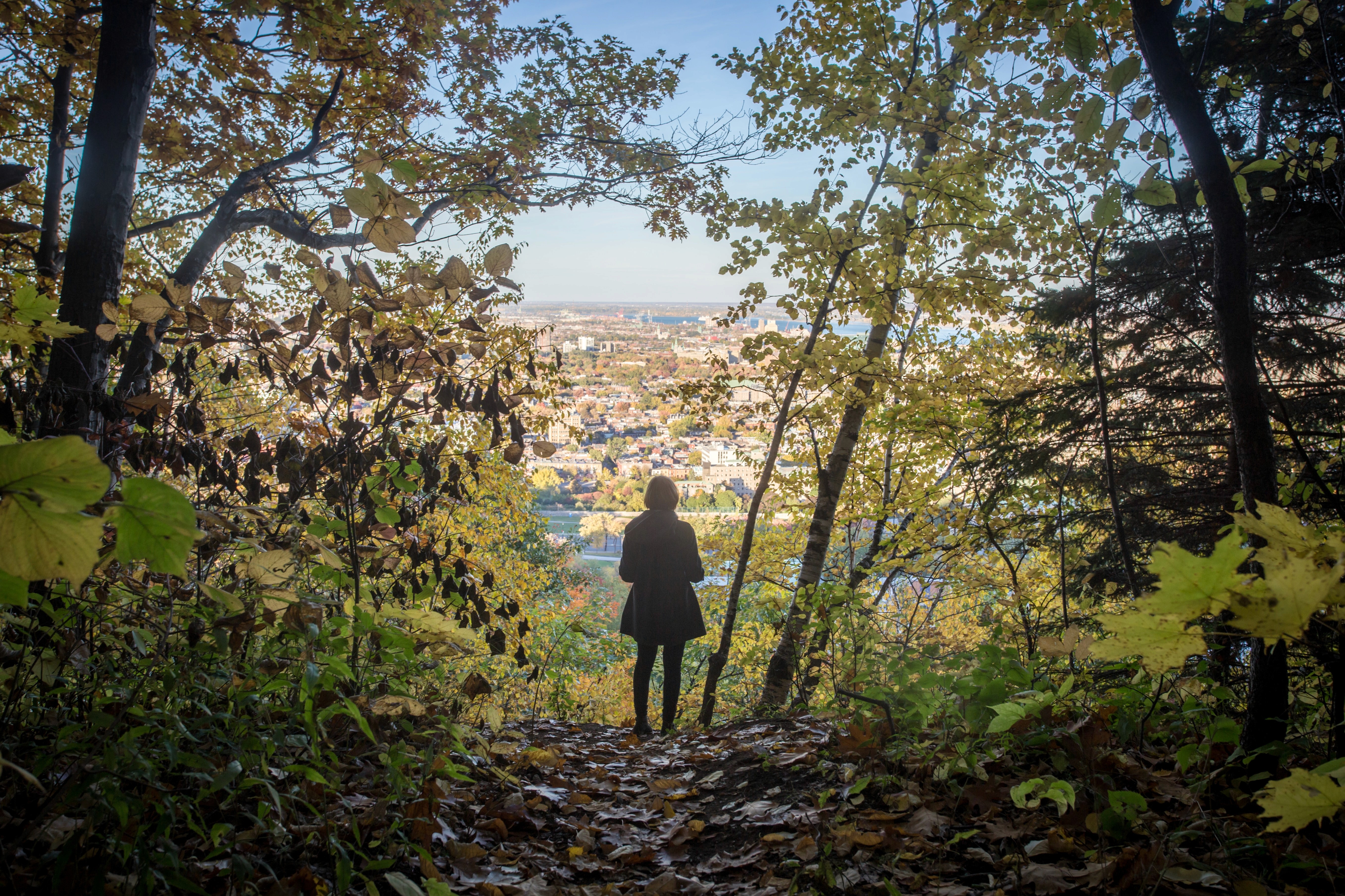 Parc vue sur ville, Domaine Public