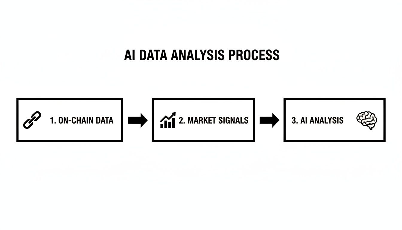 Flowchart illustrating the AI data analysis process, from on-chain data to market signals and AI analysis.