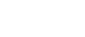 Pasha Holding Logo