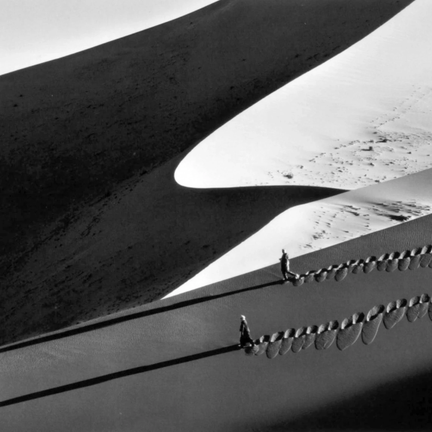 Two tiny figures traversing the sharp ridgeline of a vast dune, their shadows stretching long across the sand below, black and white