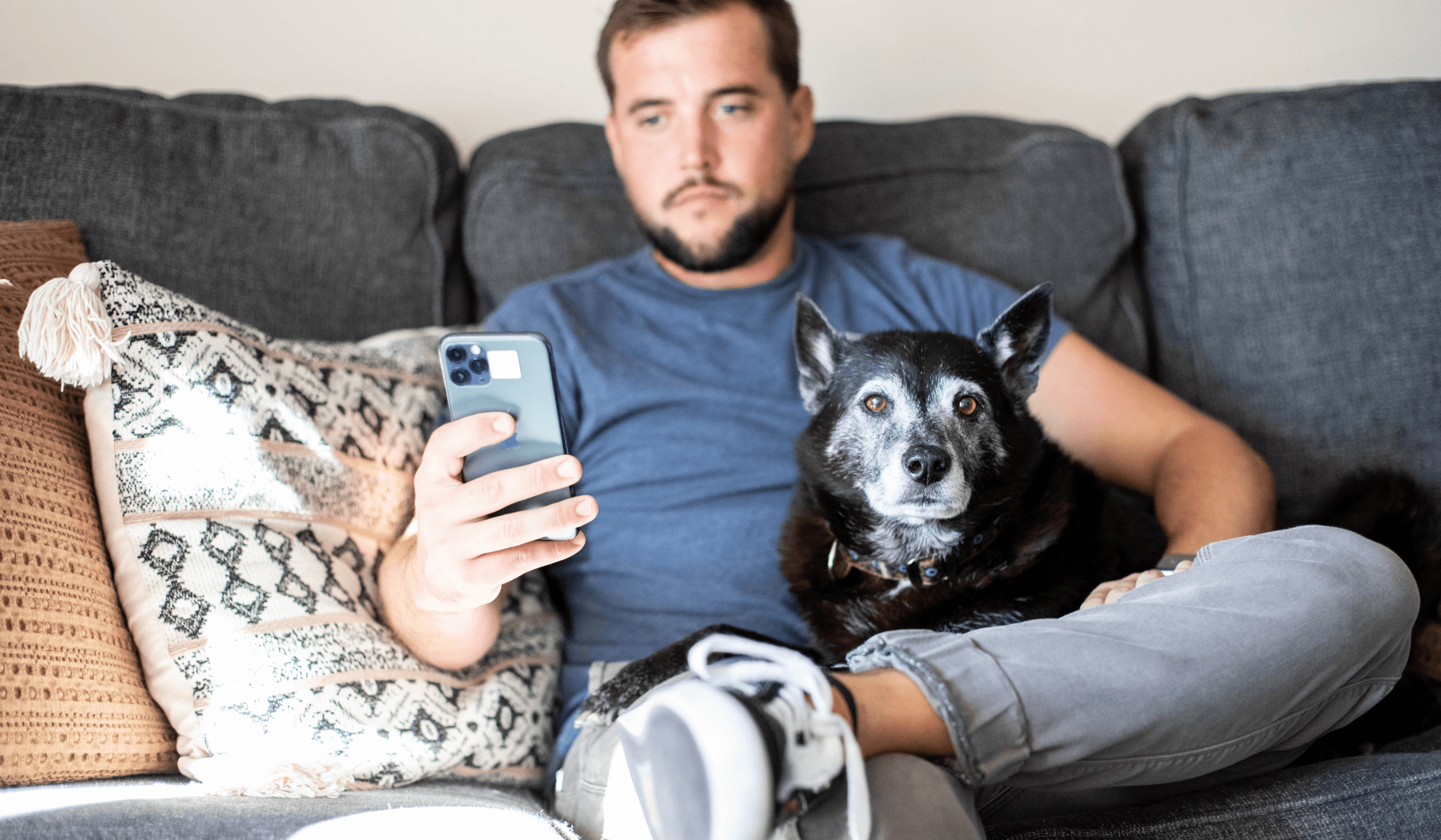 Leveraging Veterinary Client Communication Software to Strengthen Client Relationships