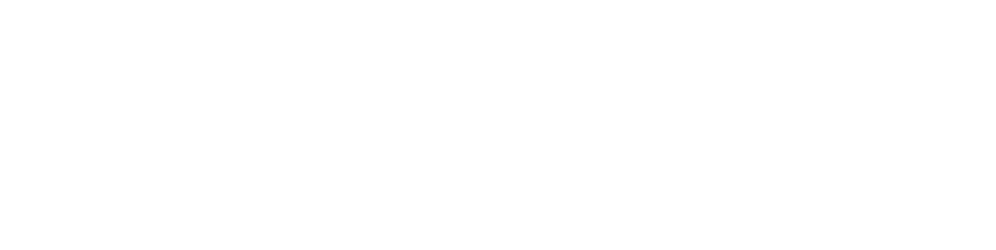 logo parnter Hylus