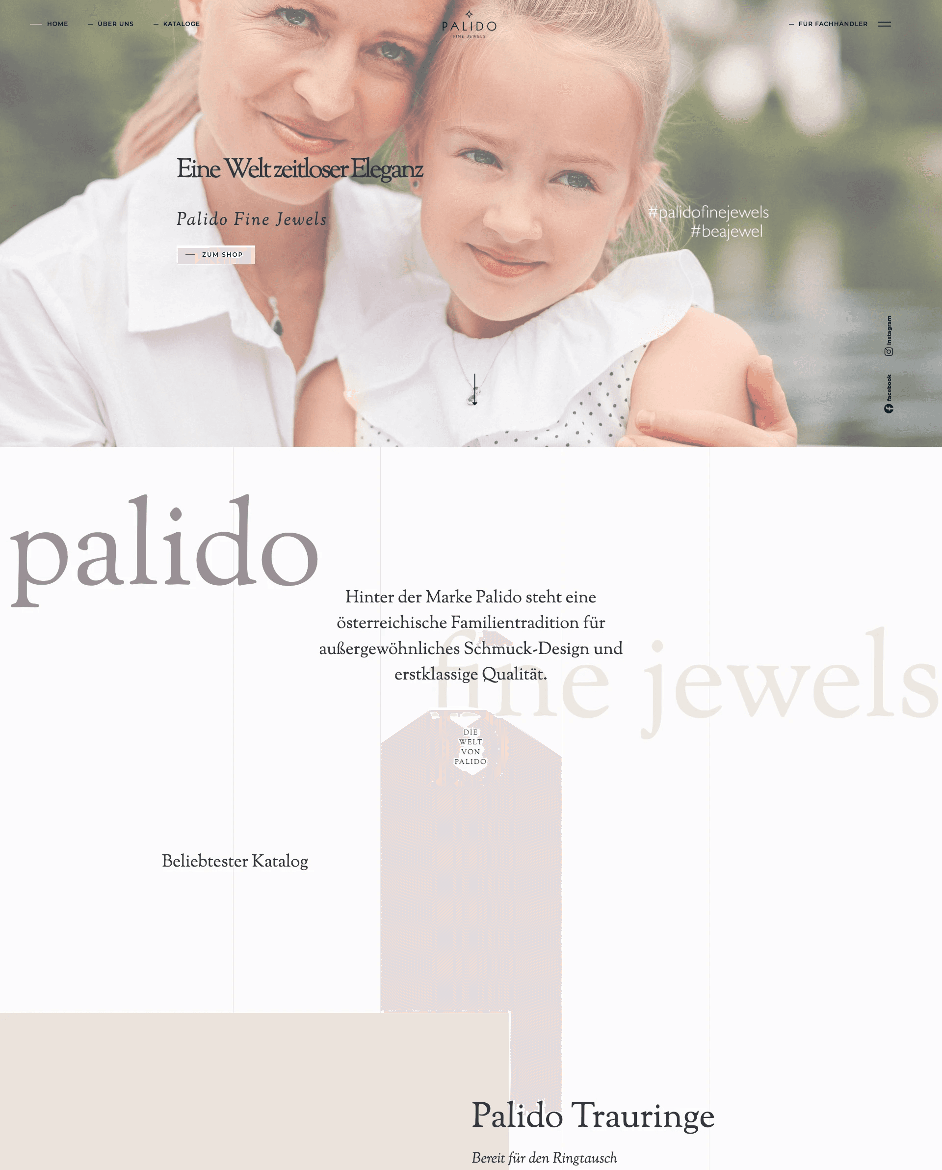Palido Website Referenz