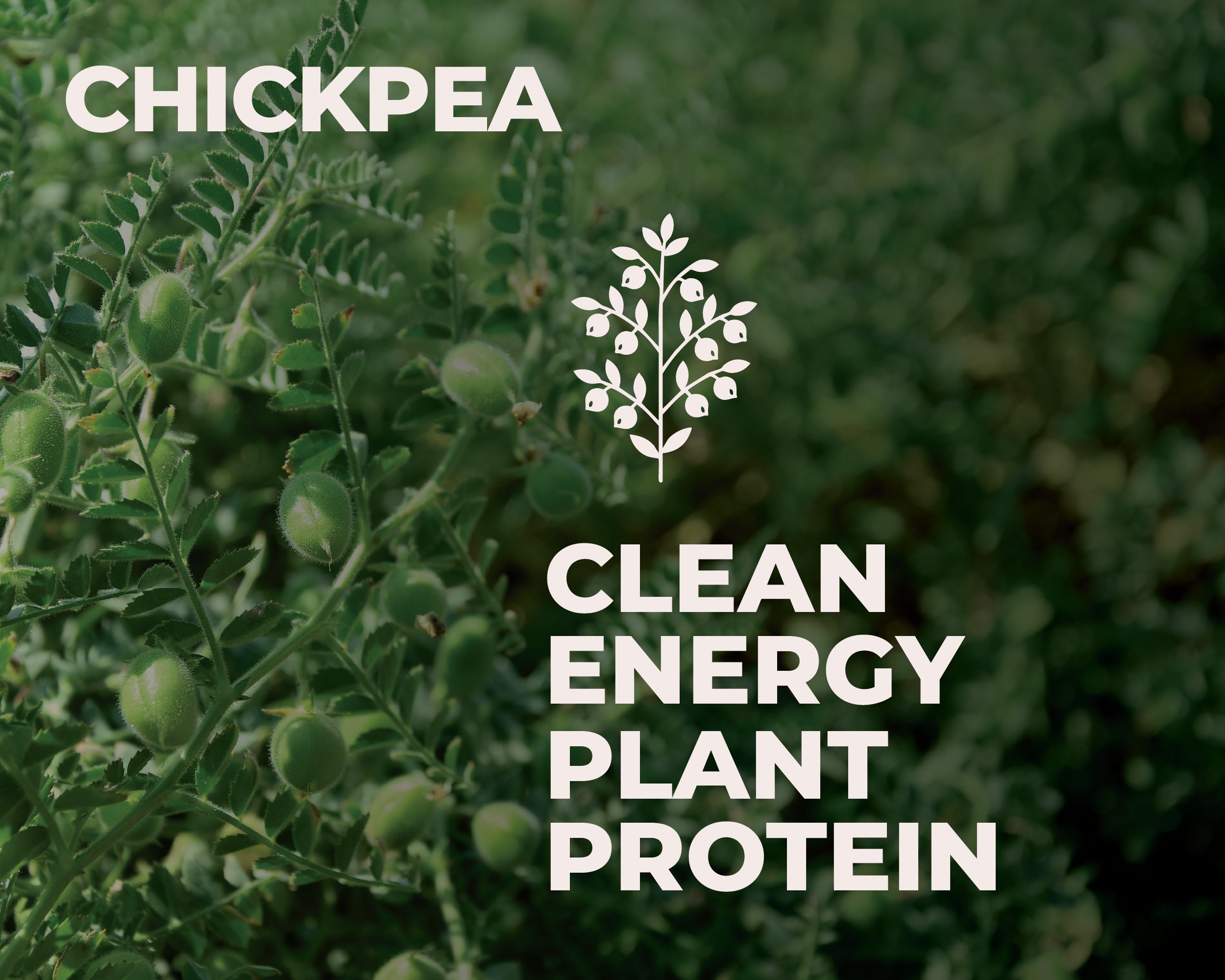 Beauty Begins Within