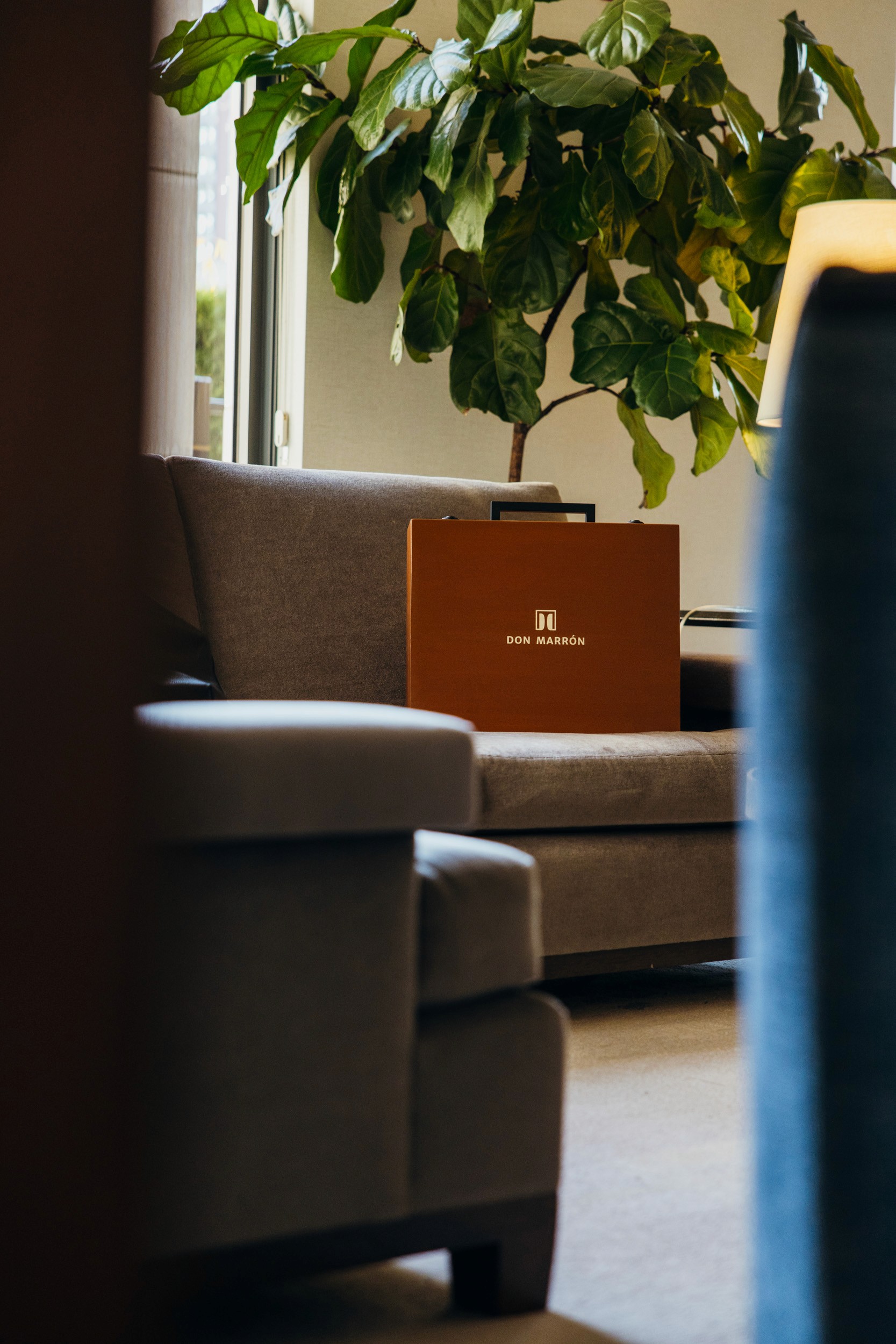 Elegant tailored suit displayed with a Don Marrón portfolio, representing private fittings and personalized consultations focused on precision, fit, and refined craftsmanship.