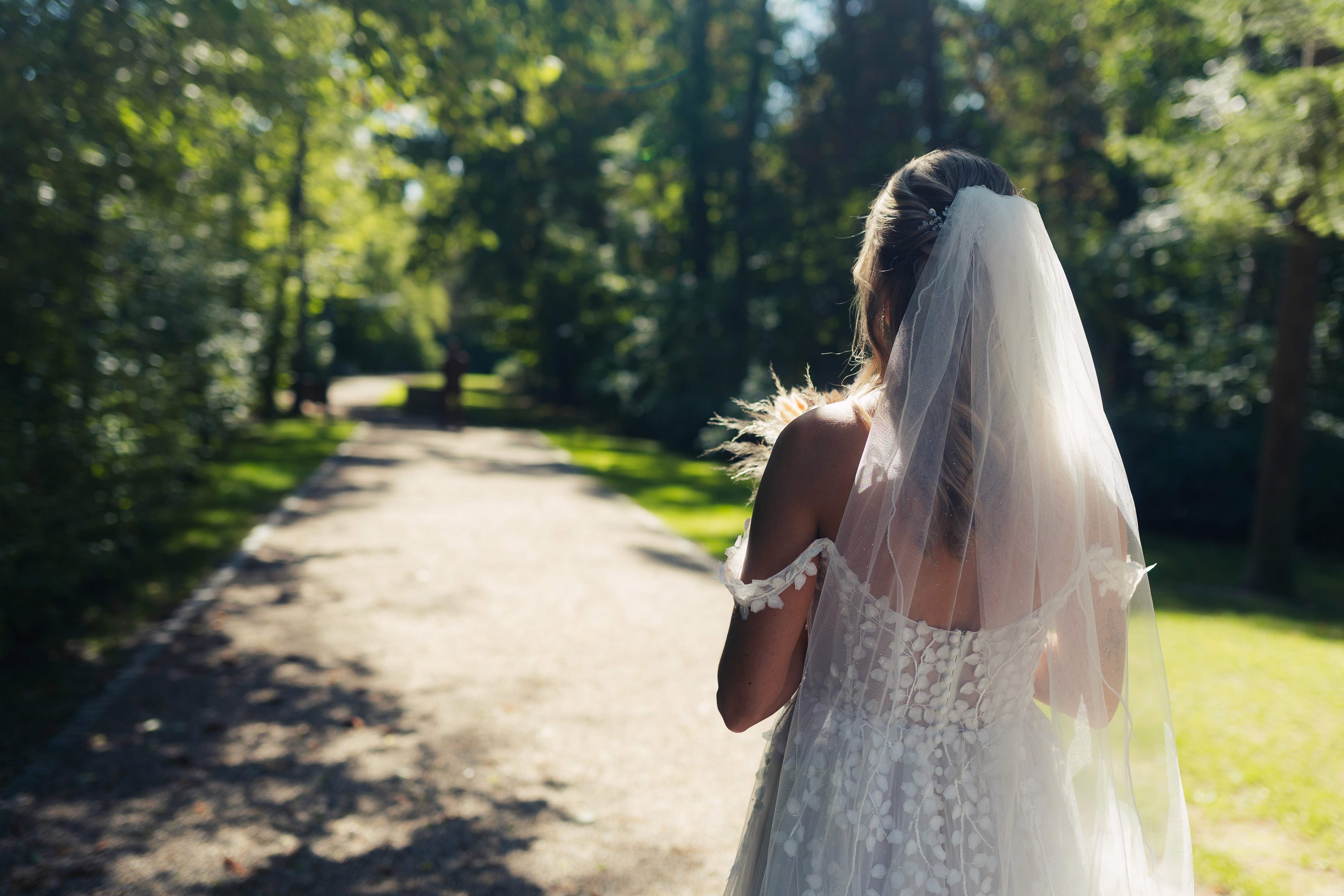 River flowing through a forest framed by wood