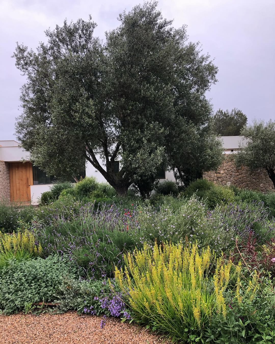 Contemporary garden with 2025 design elements