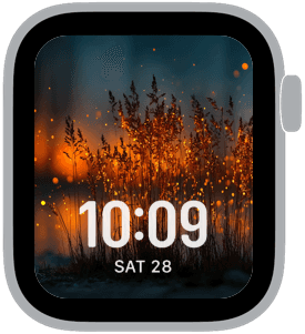 firefly fm Apple Watch face preview 4 featuring summer.