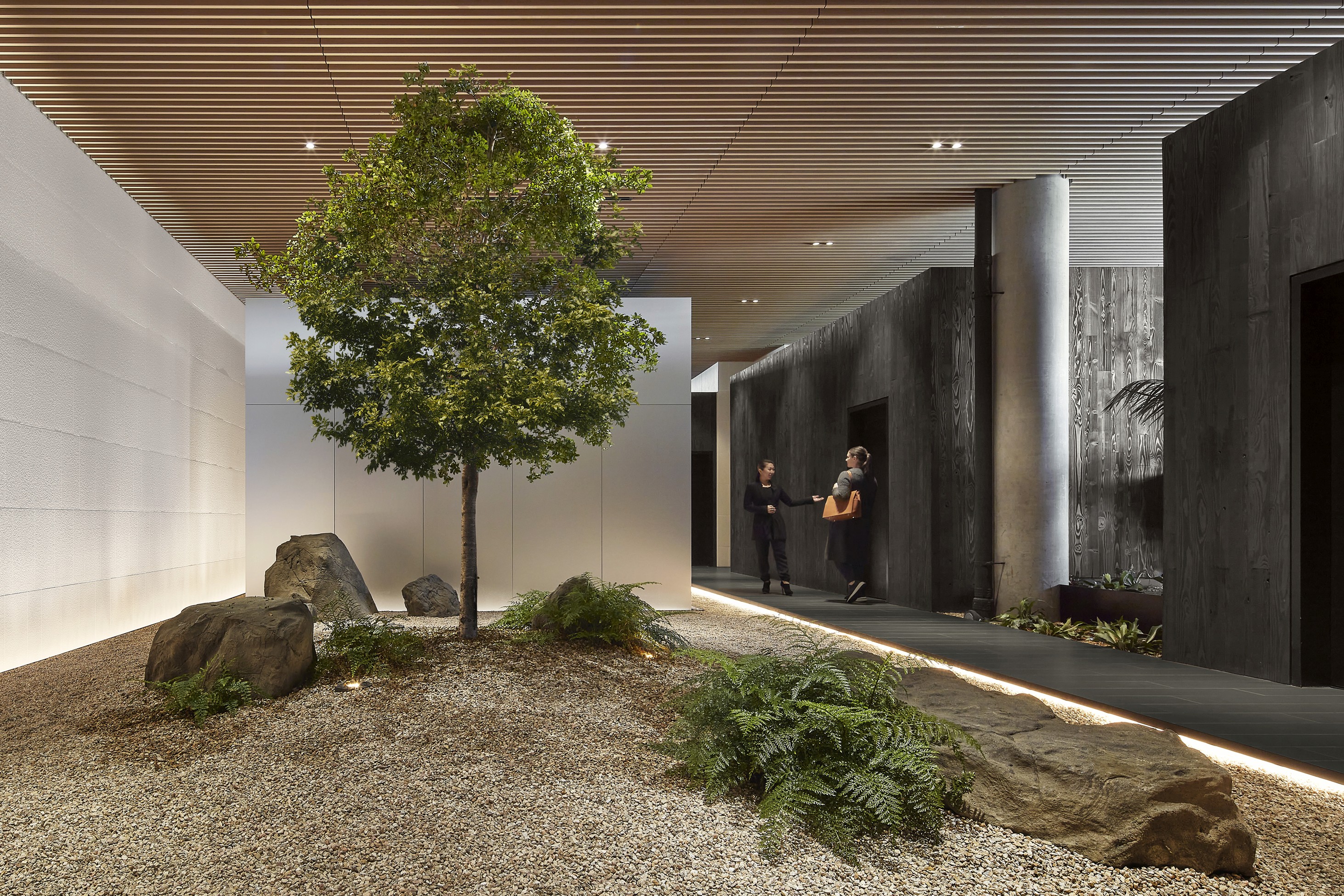 Biograph interior courtyard featuring a tree, natural stone, and minimalist circulation spaces.