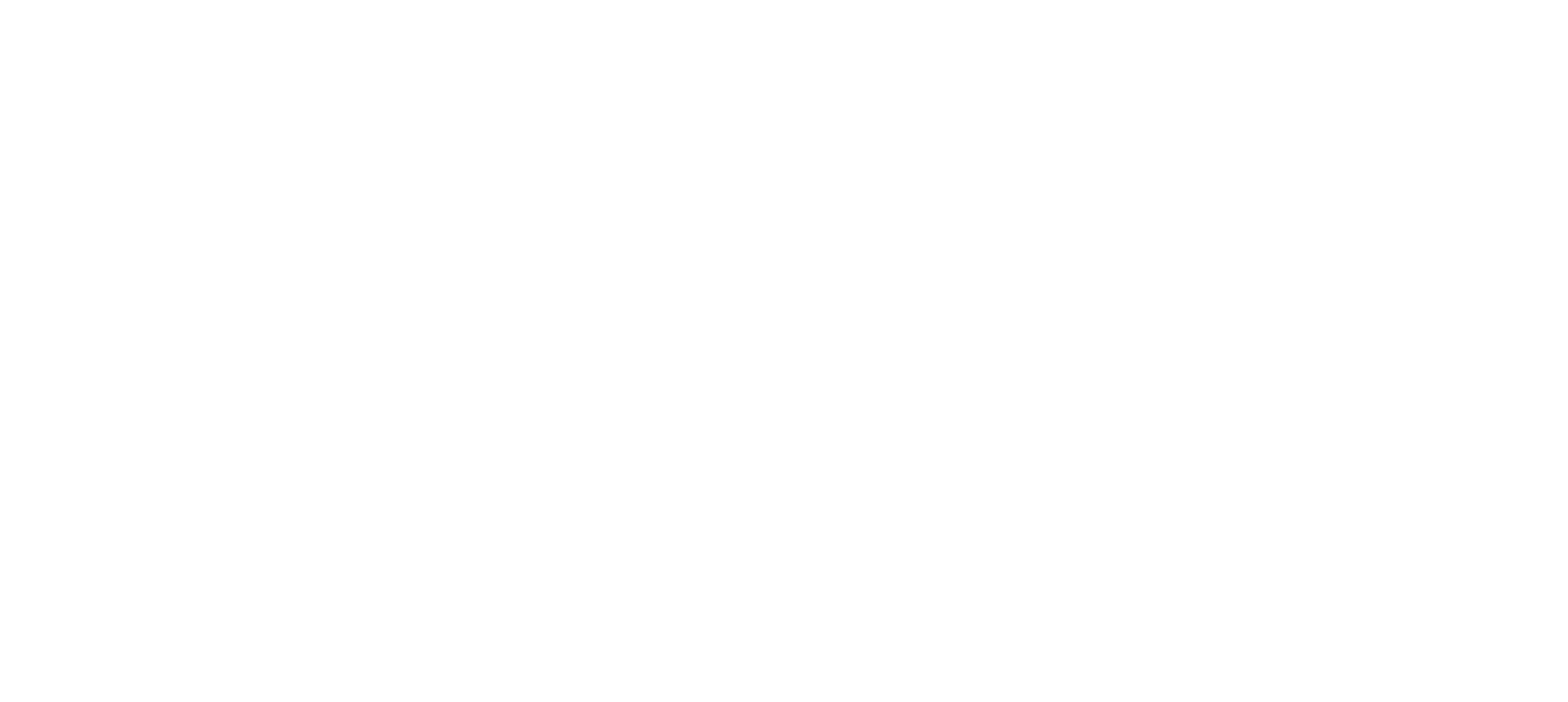 AI FDE