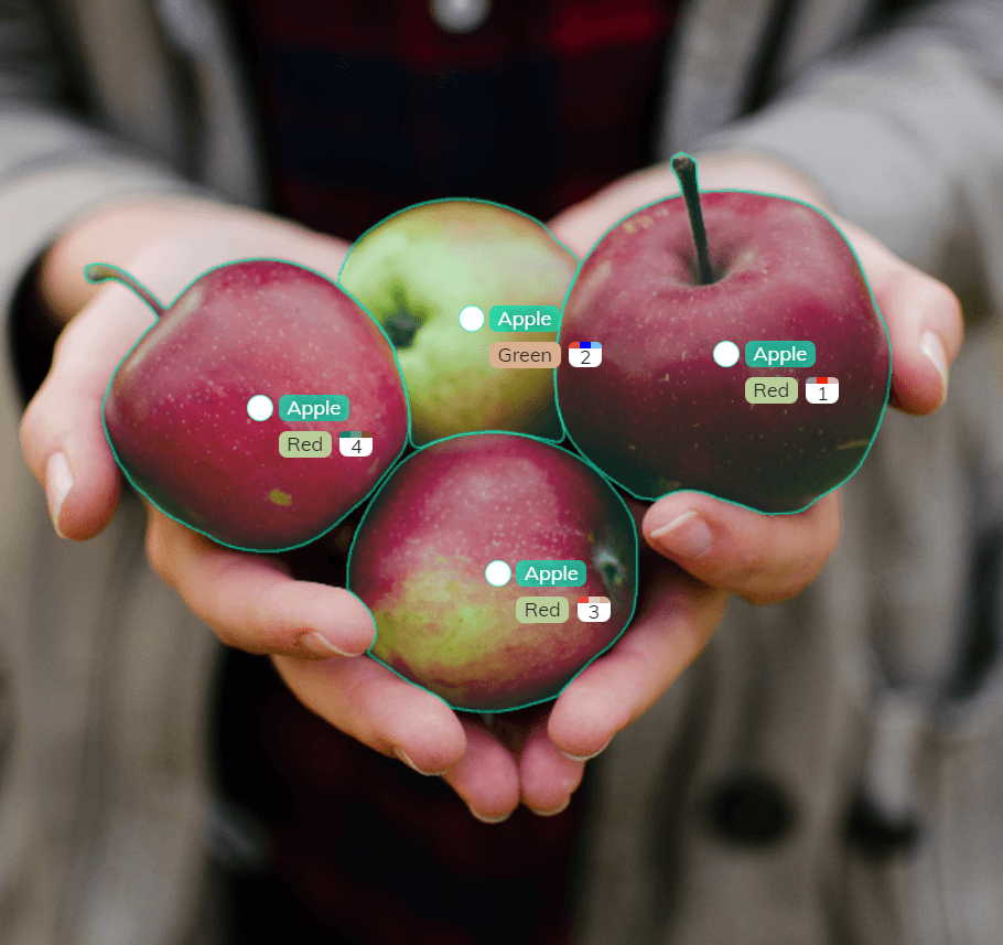 photo of hands holding annotated apples