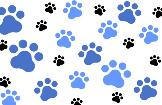 multicolored dog bone toys