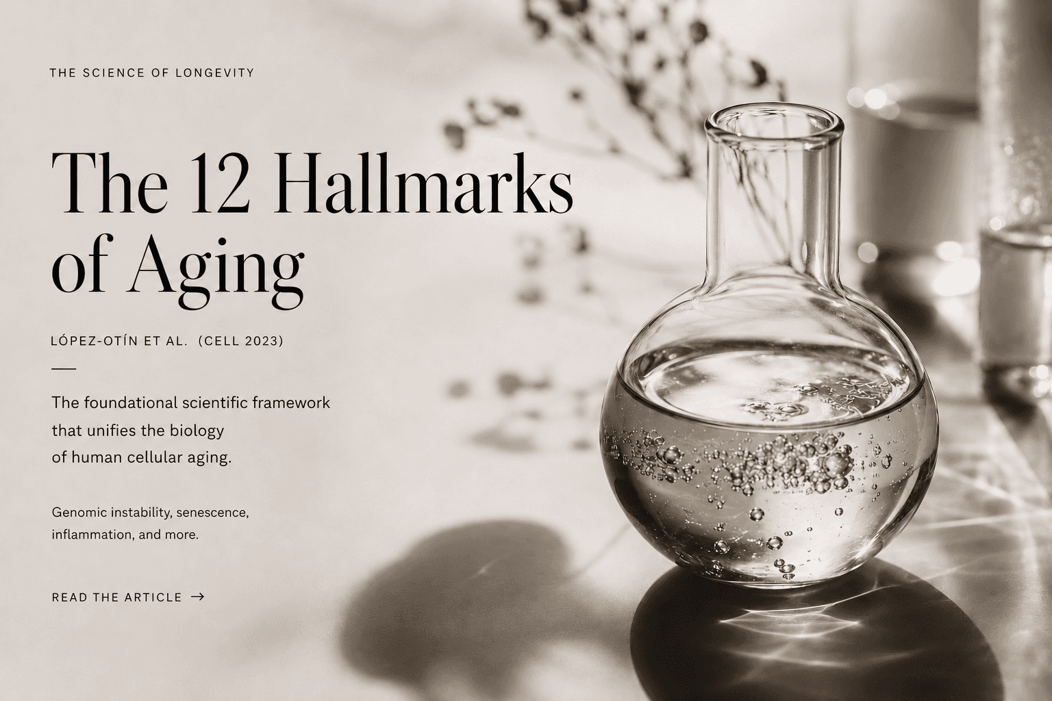Visualization of the twelve Hallmarks of Aging biological mechanisms as defined by López-Otín et al. in Cell 2023 — the unified scientific framework of human cellular aging used in contemporary geroscience.