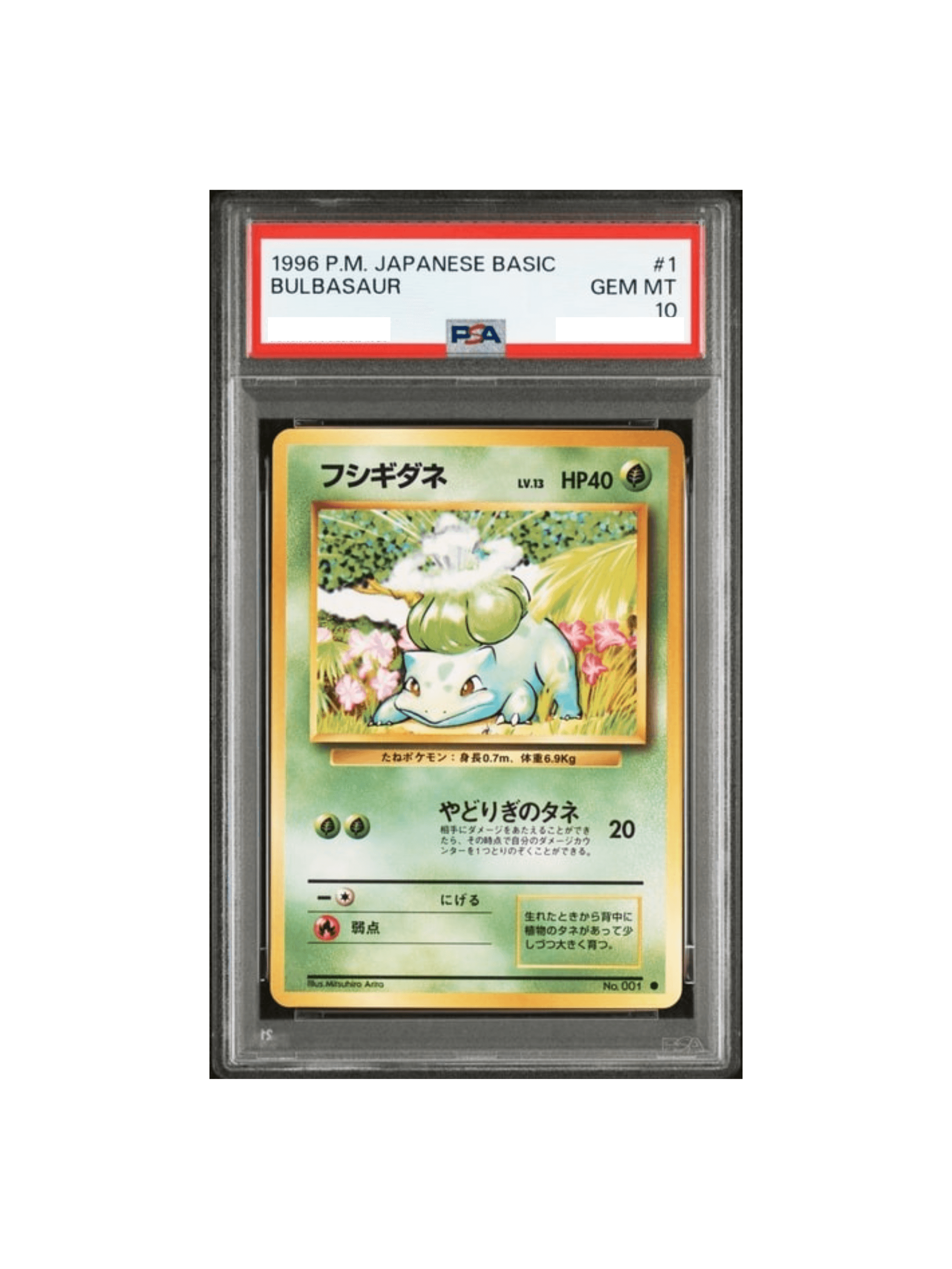 ☆PSA 10 フシギダネ1996 POKEMON JAPANESE BASIC BULBASAUR ☆ 旧裏面