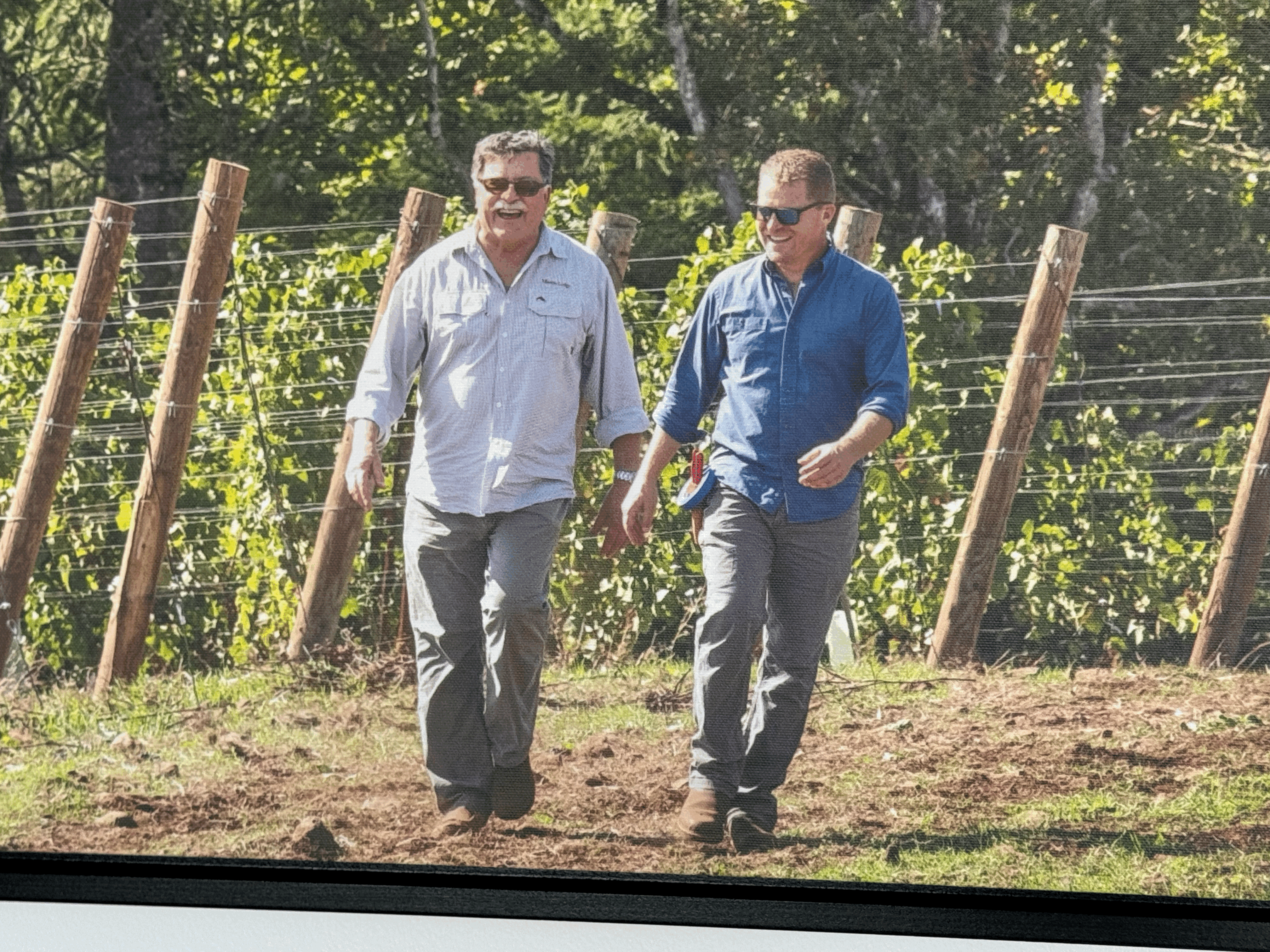 "I called Dad, and asked him his thoughts about creating estate vineyards, give employment to me."