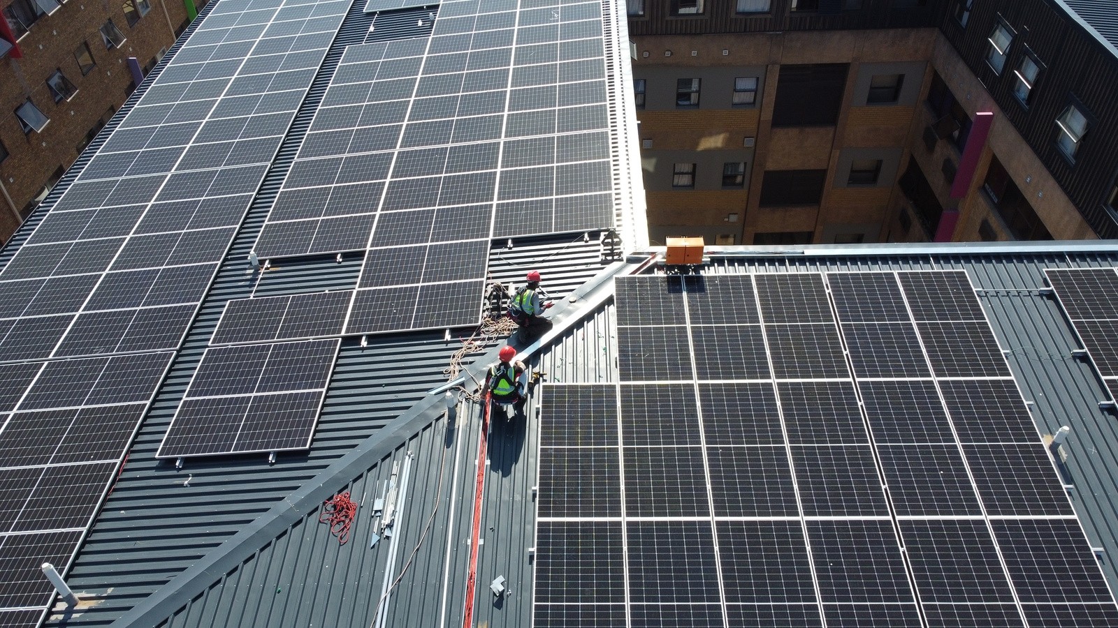 Scientist in laboratorium