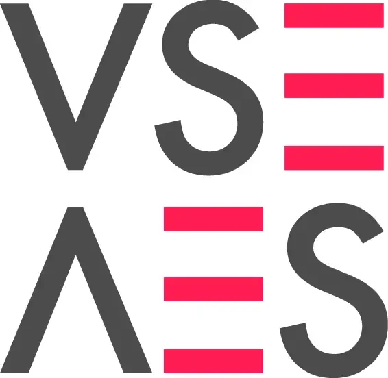 company logo of VSE