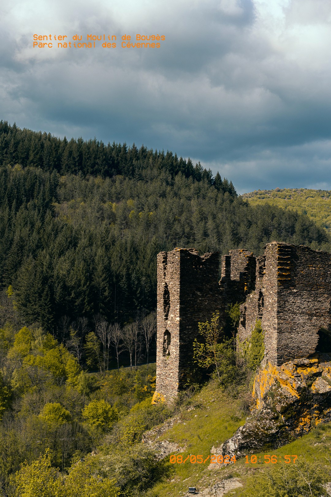 Ruines de château surplombant une forêt dans les Cévennes.