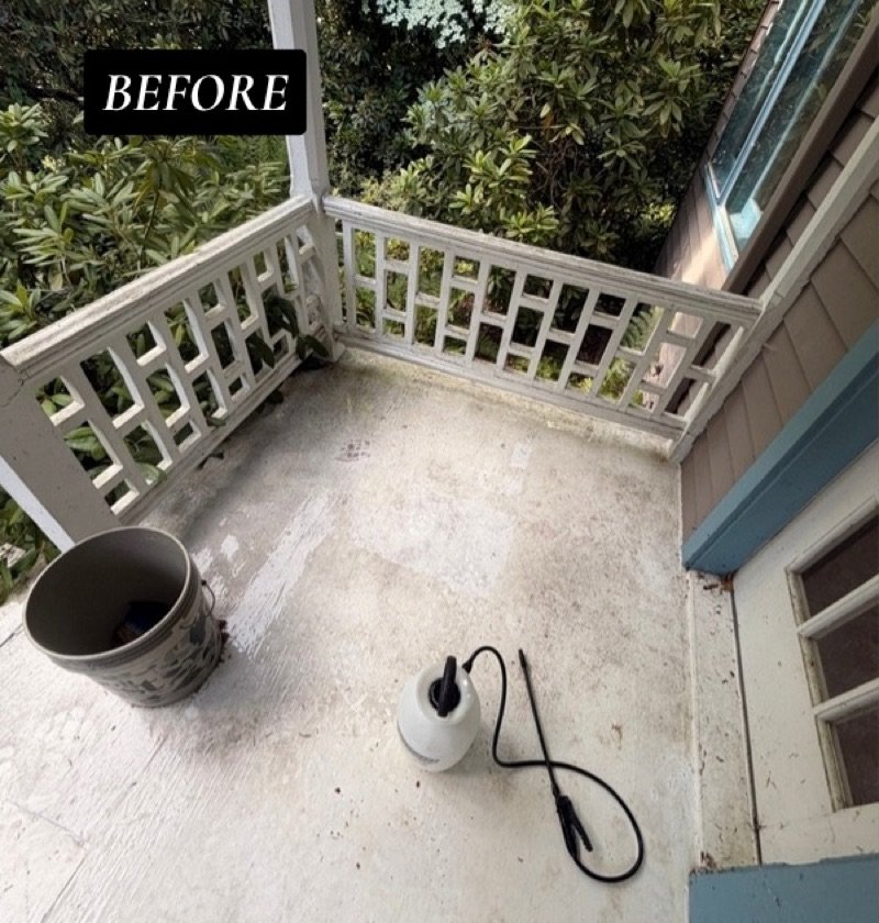 Before Deck cleaning